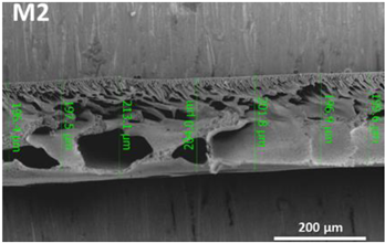 Polymers 14 04657 i002