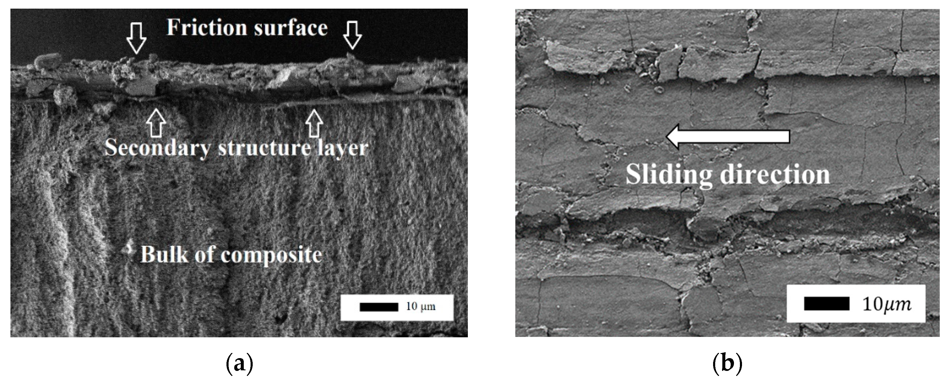 Polymers 14 04658 g005 Polymers 14 04658 g005