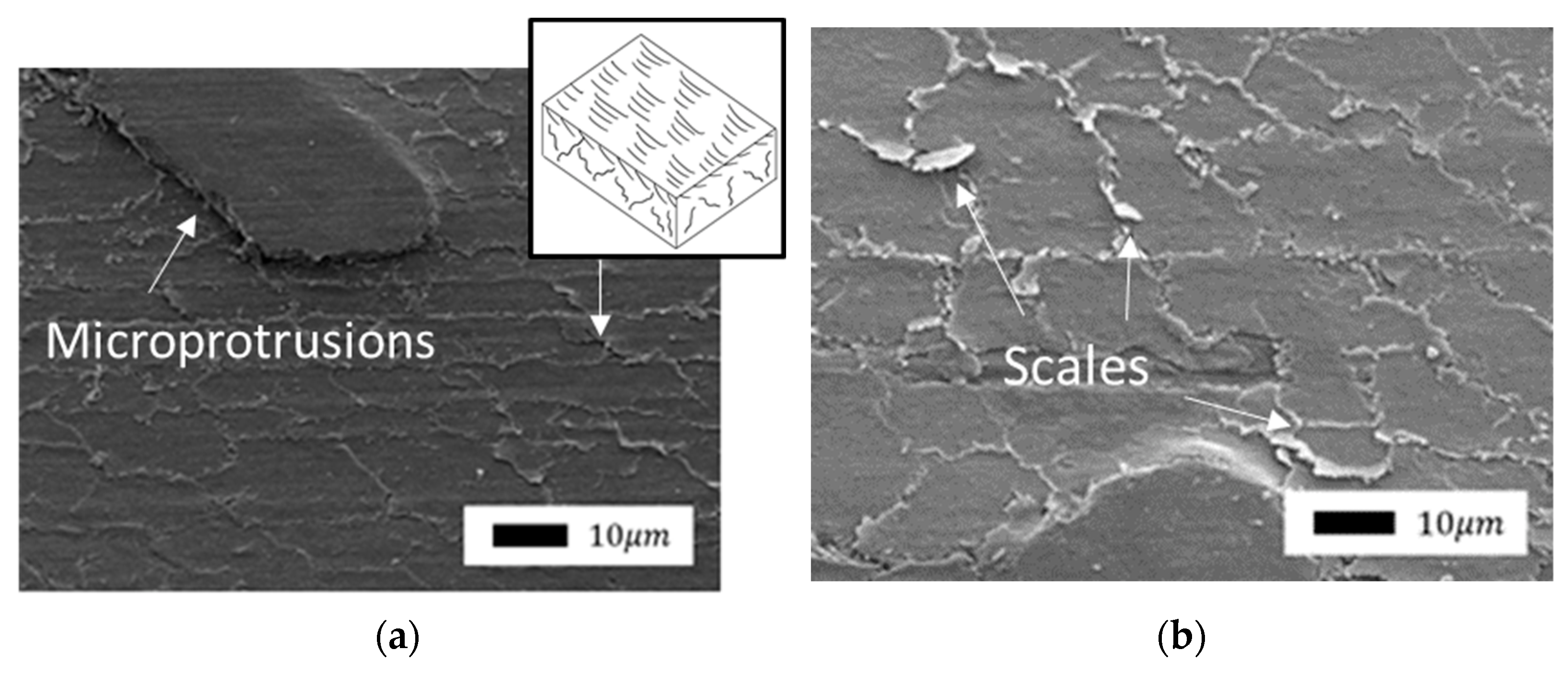 Polymers 14 04658 g007 Polymers 14 04658 g007