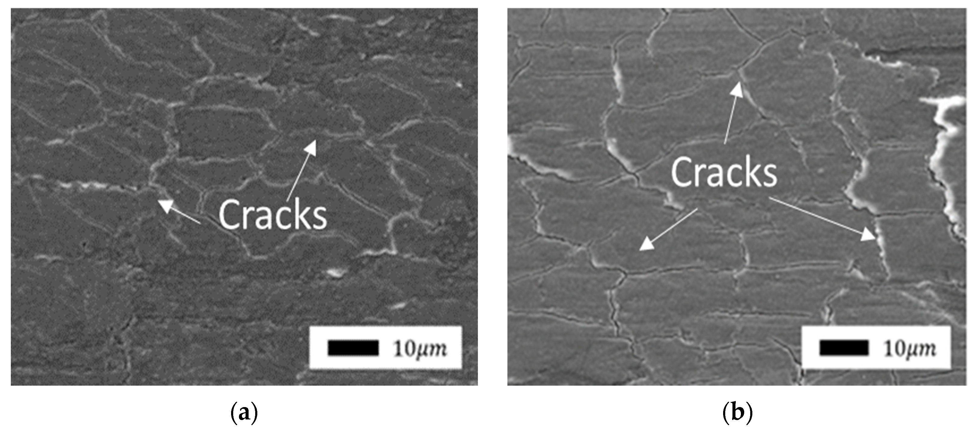 Polymers 14 04658 g010 Polymers 14 04658 g010