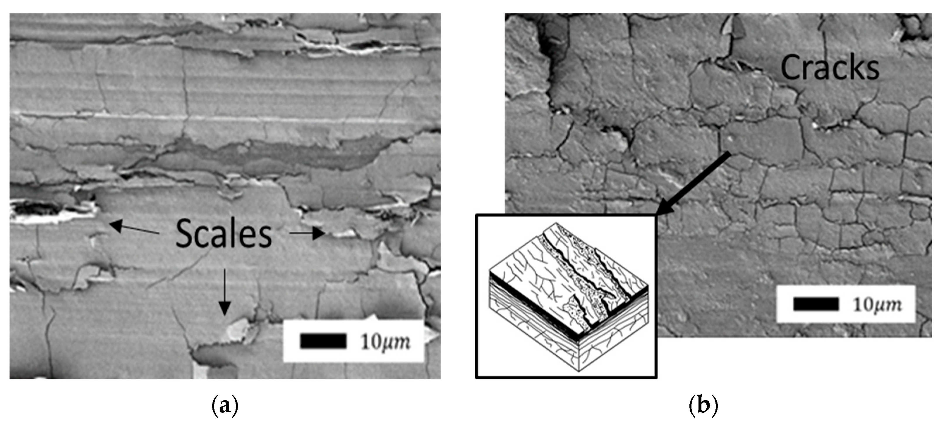 Polymers 14 04658 g011 Polymers 14 04658 g011