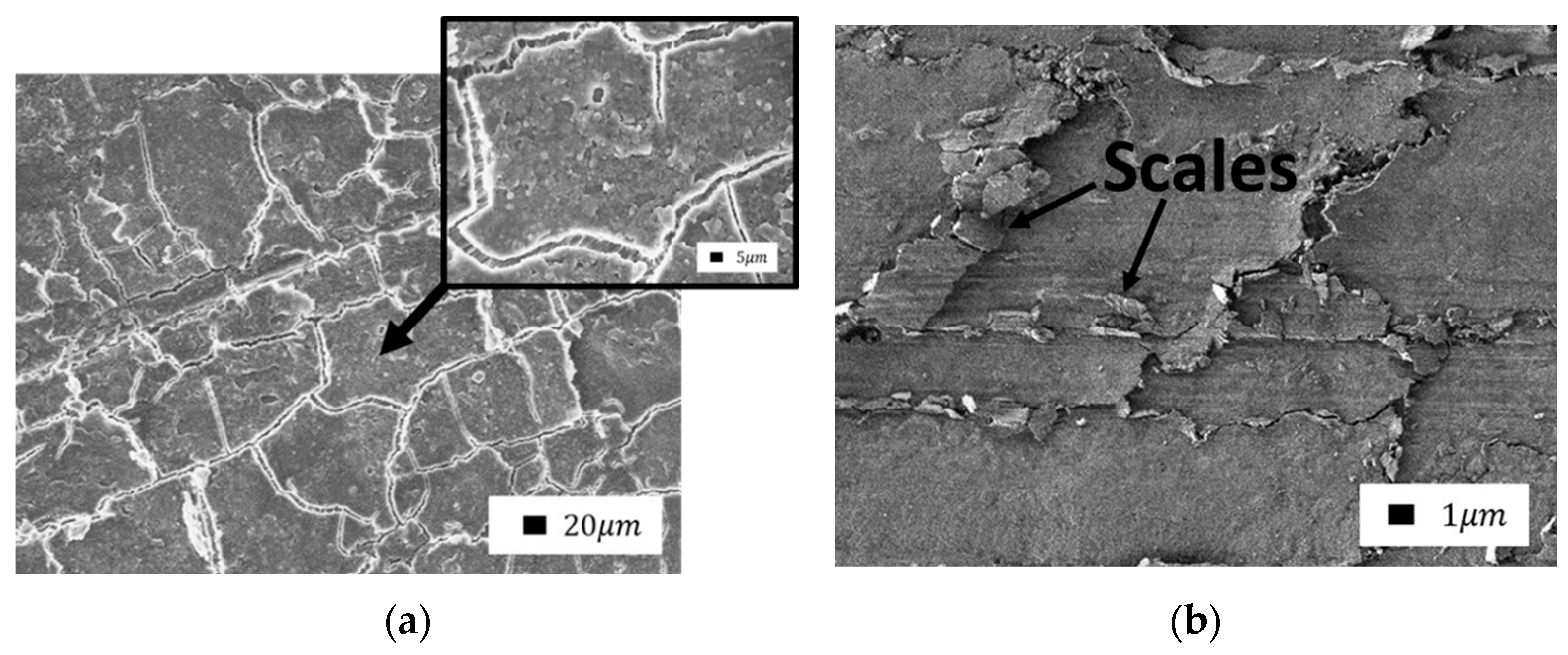 Polymers 14 04658 g013 Polymers 14 04658 g013