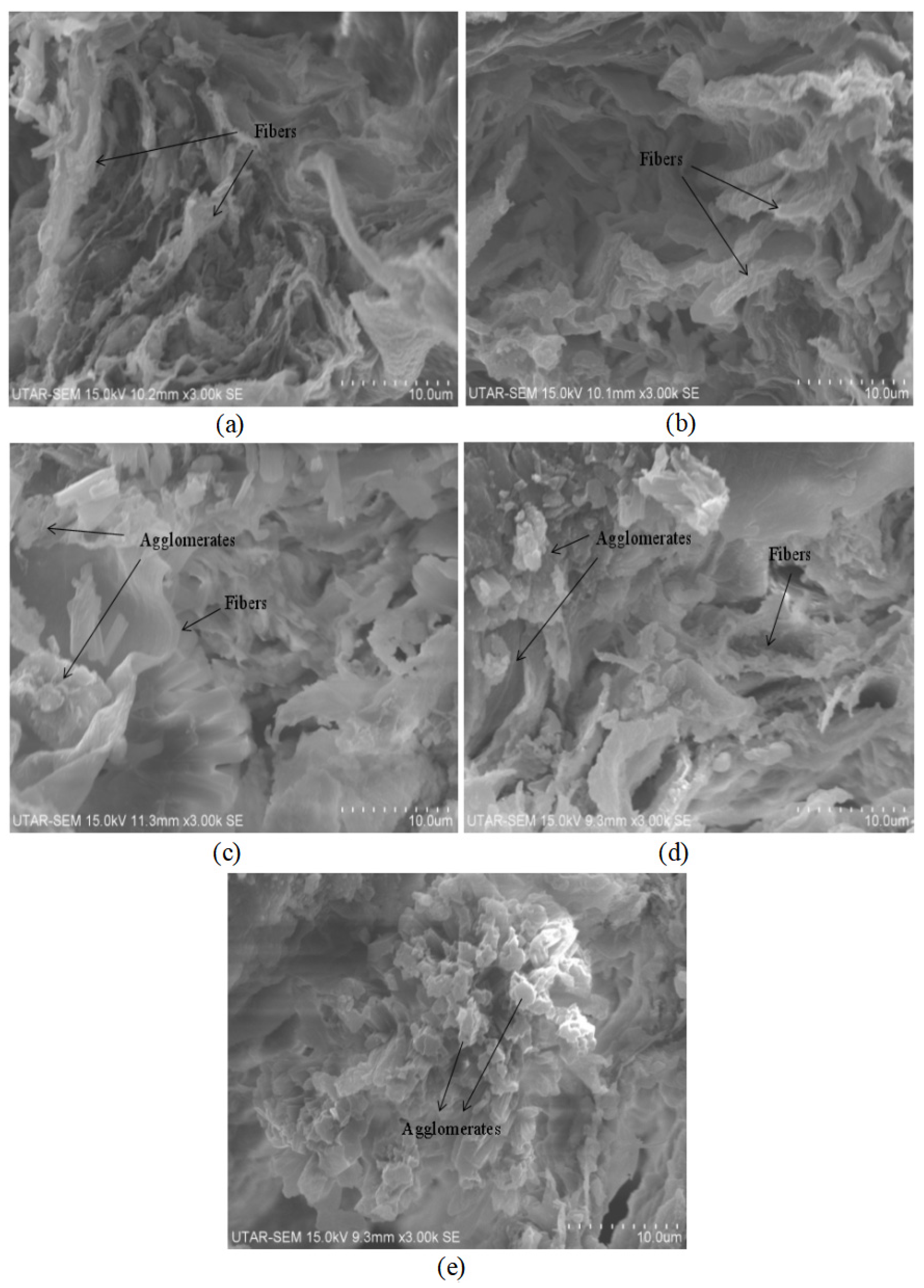 Polymers 14 04660 g015
