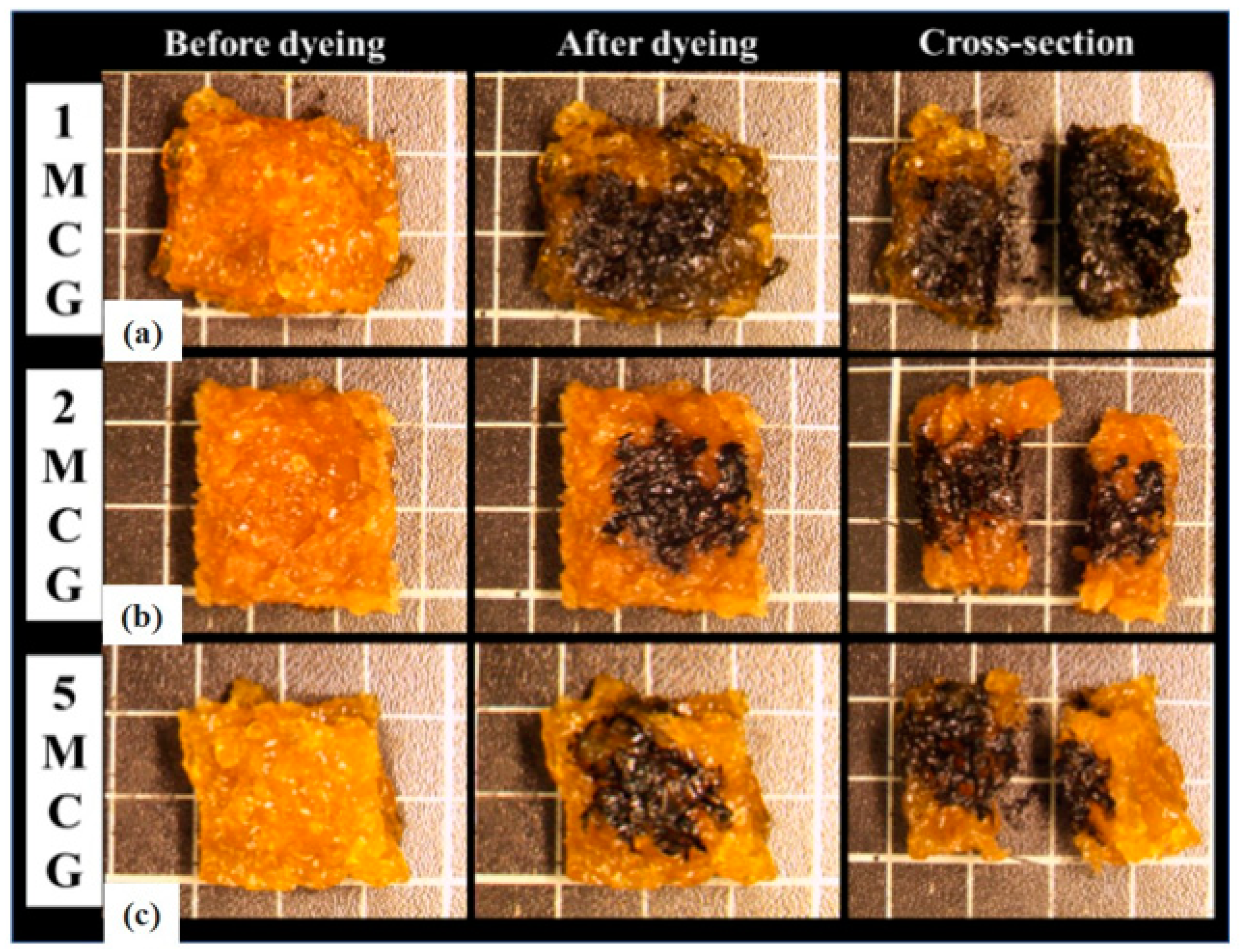 Polymers 14 04668 g003 Polymers 14 04668 g003