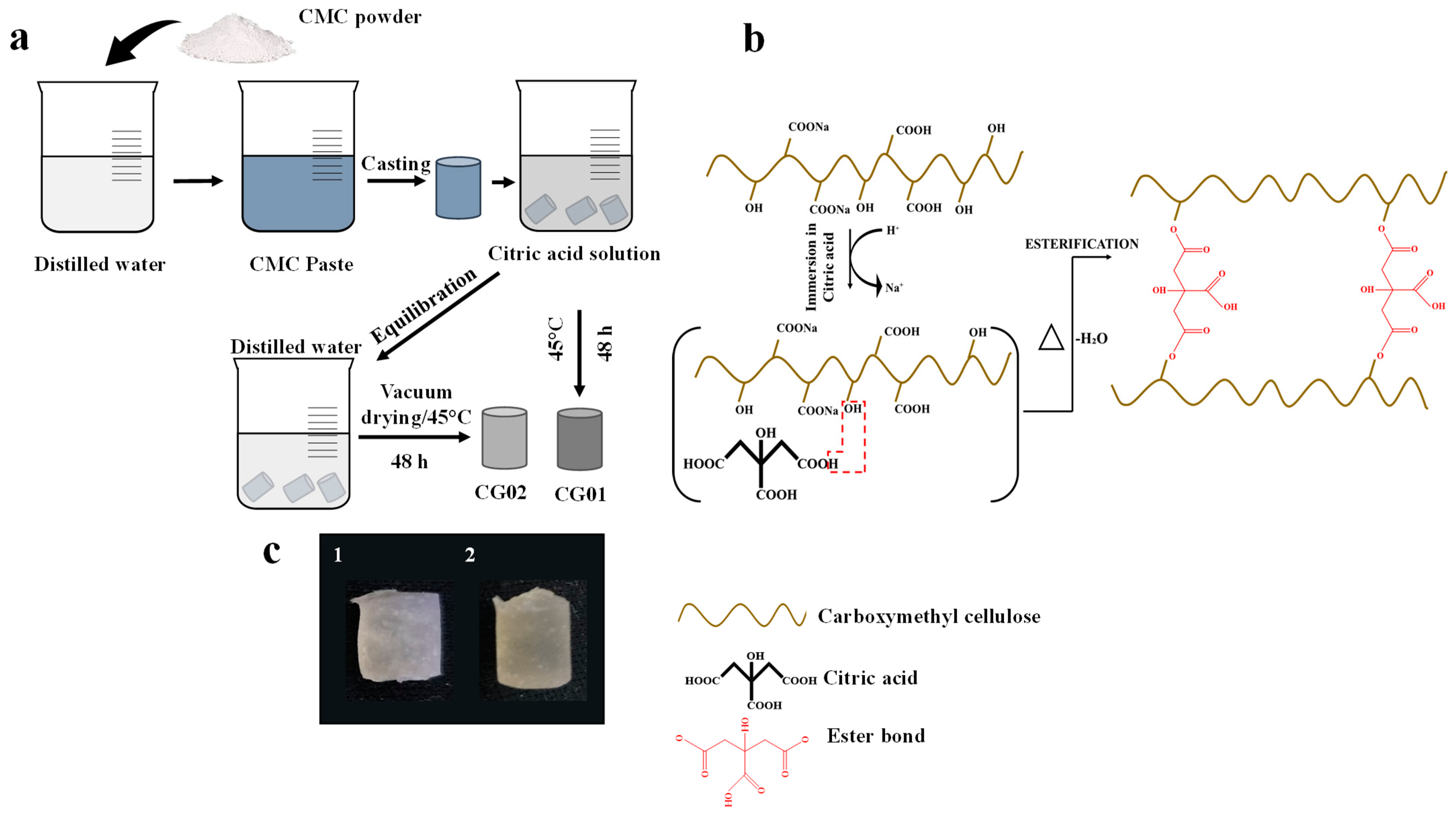 Polymers 14 04669 g001