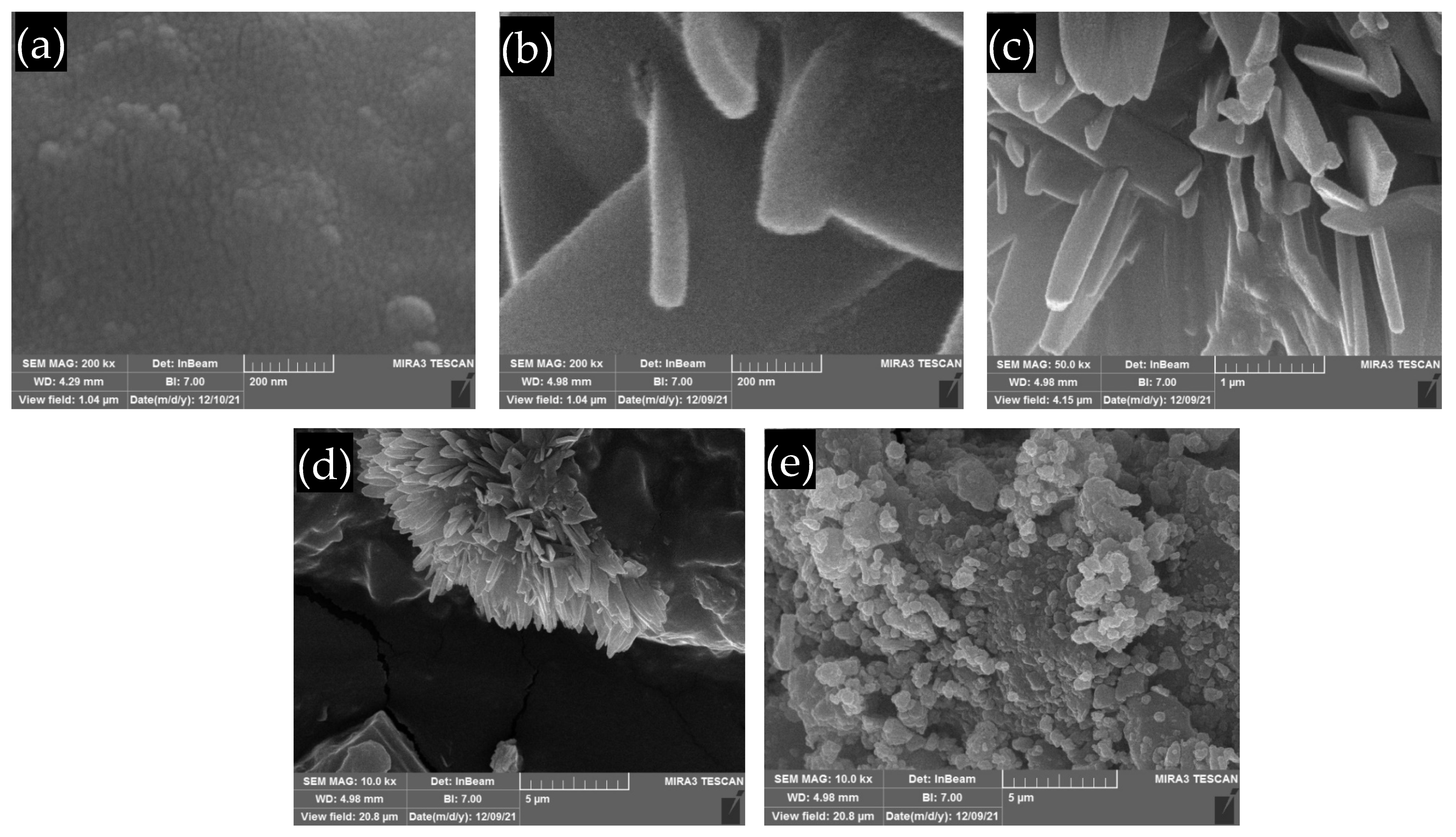 Polymers 14 04671 g004 Polymers 14 04671 g004