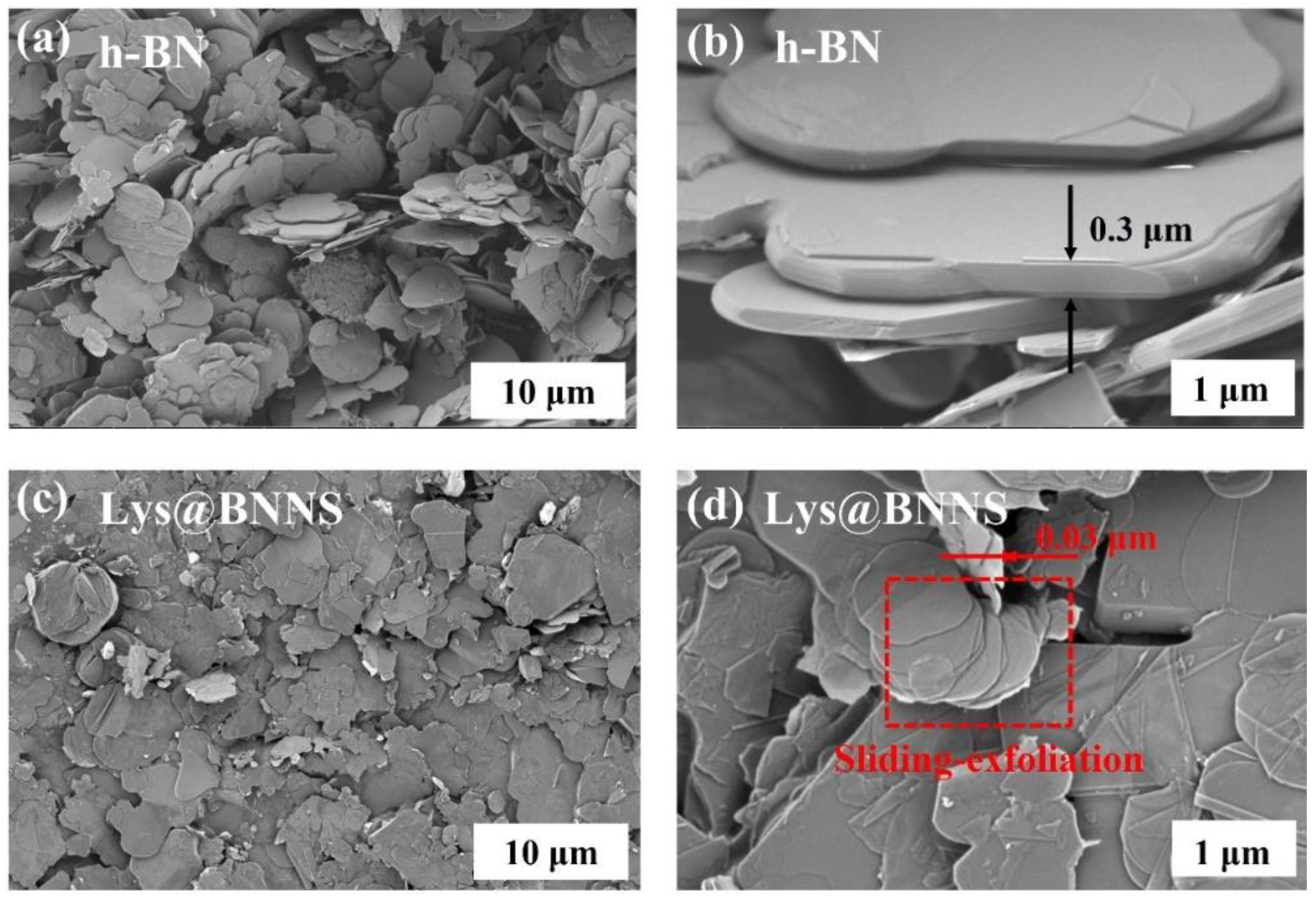 Polymers 14 04674 g003 Polymers 14 04674 g003