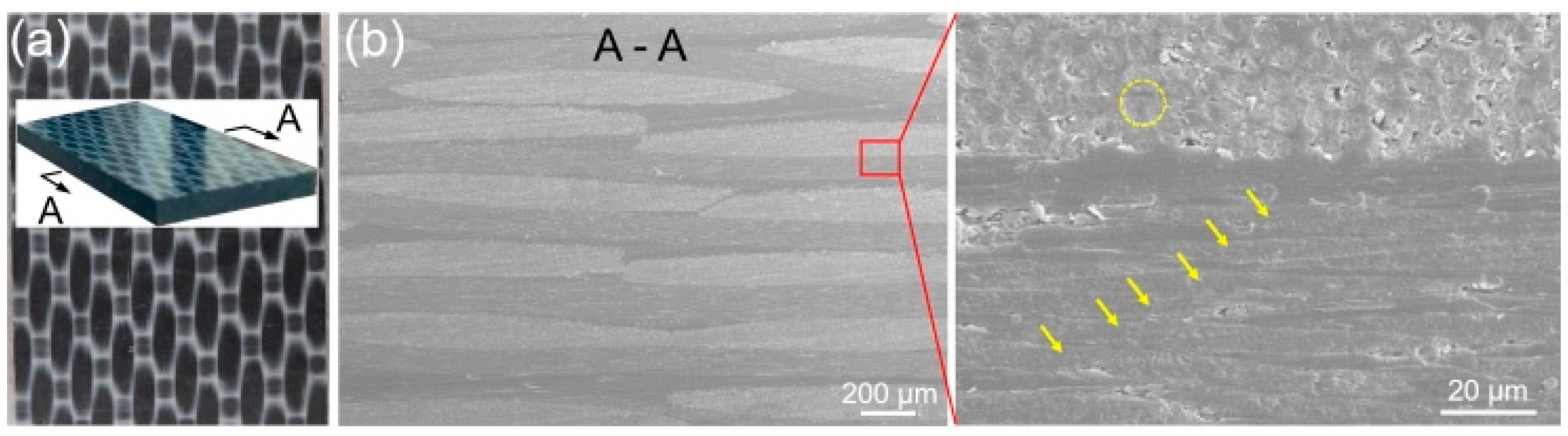 Polymers 14 04676 g001 Polymers 14 04676 g001