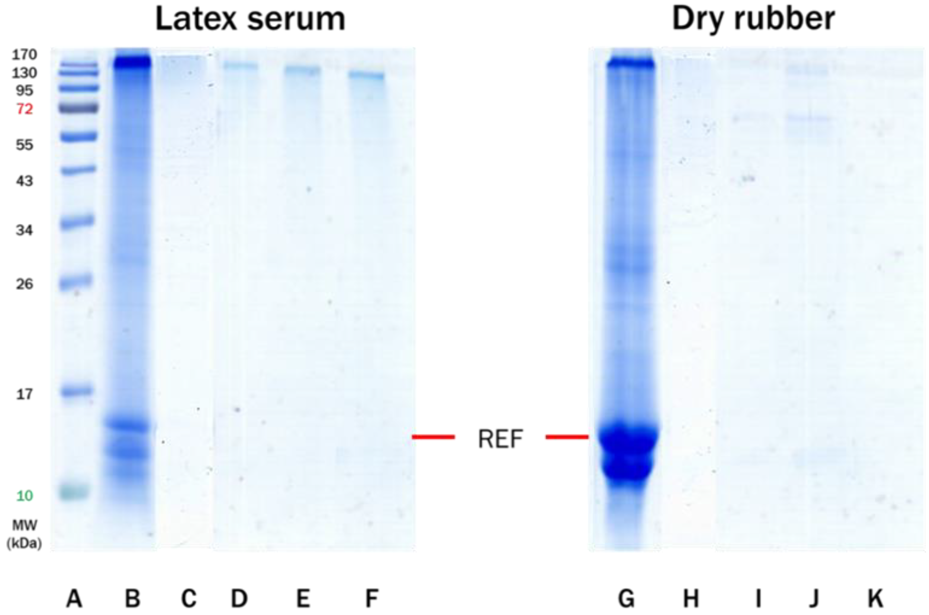Polymers 14 04679 g007