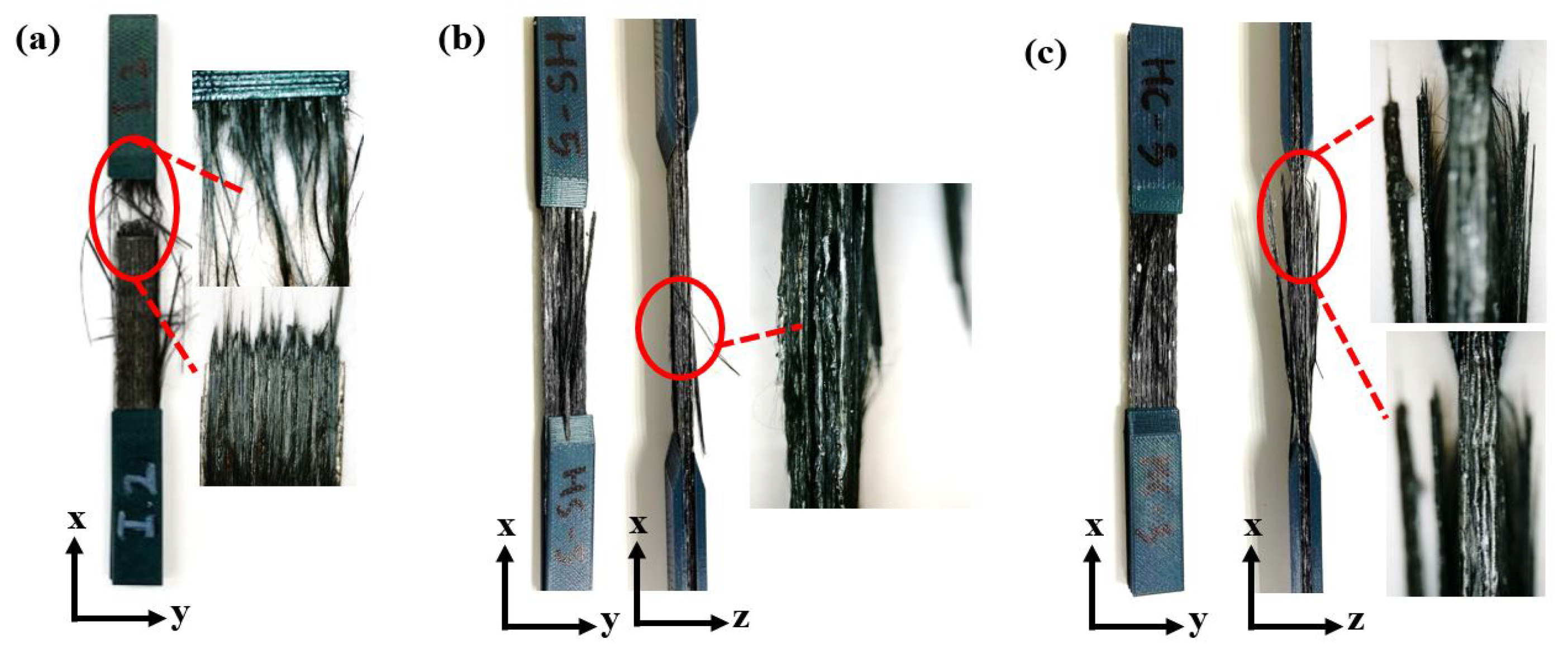 Polymers 14 04680 g008