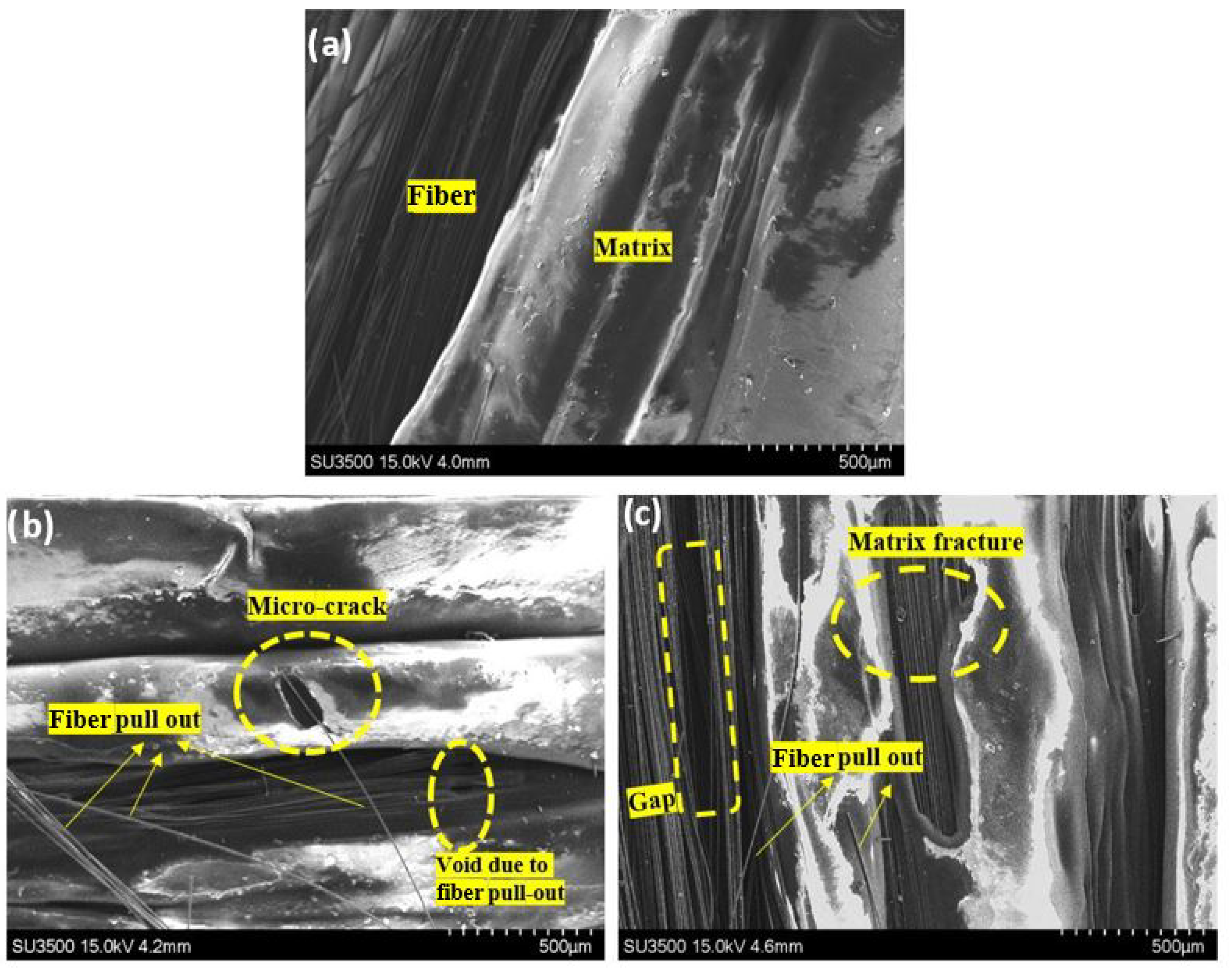Polymers 14 04680 g010