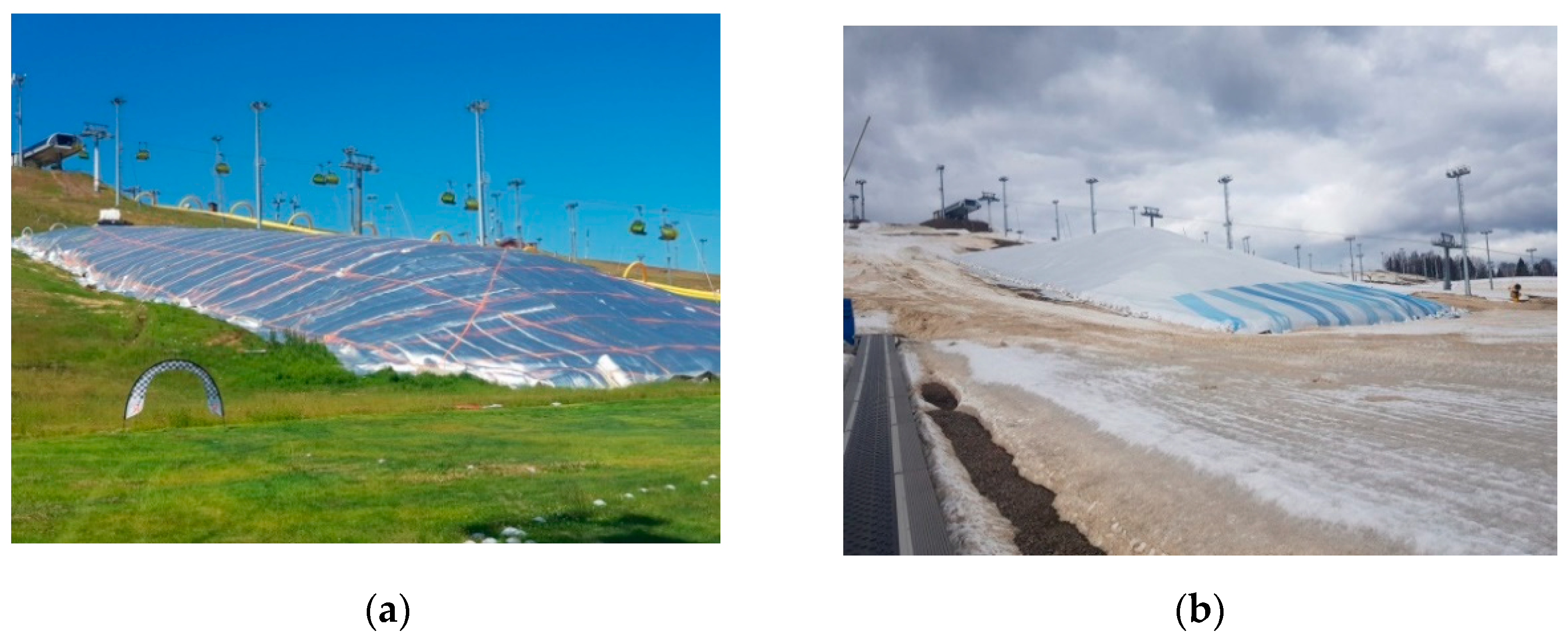 Polymers 14 04688 g002