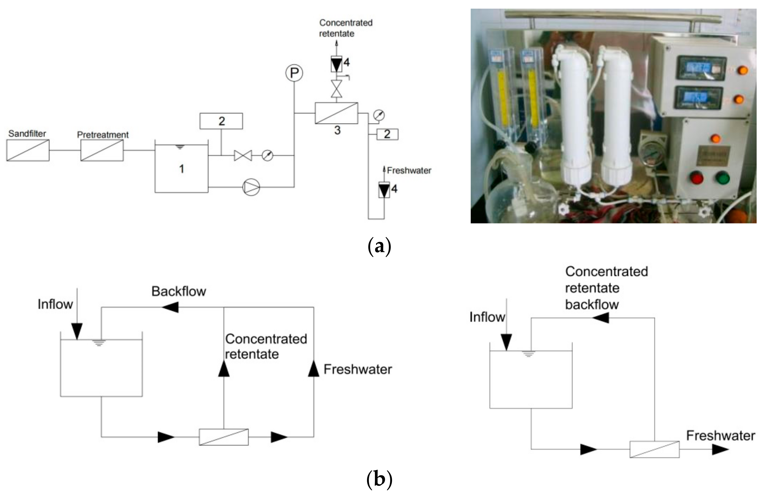 Polymers 14 04689 g001