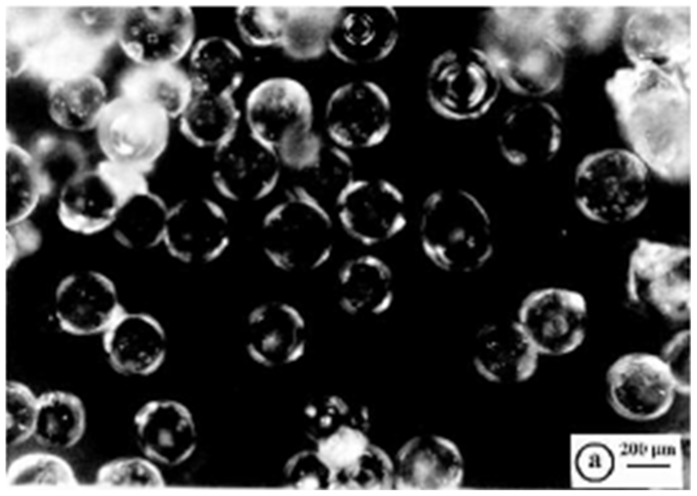 Polymers 14 04690 g004