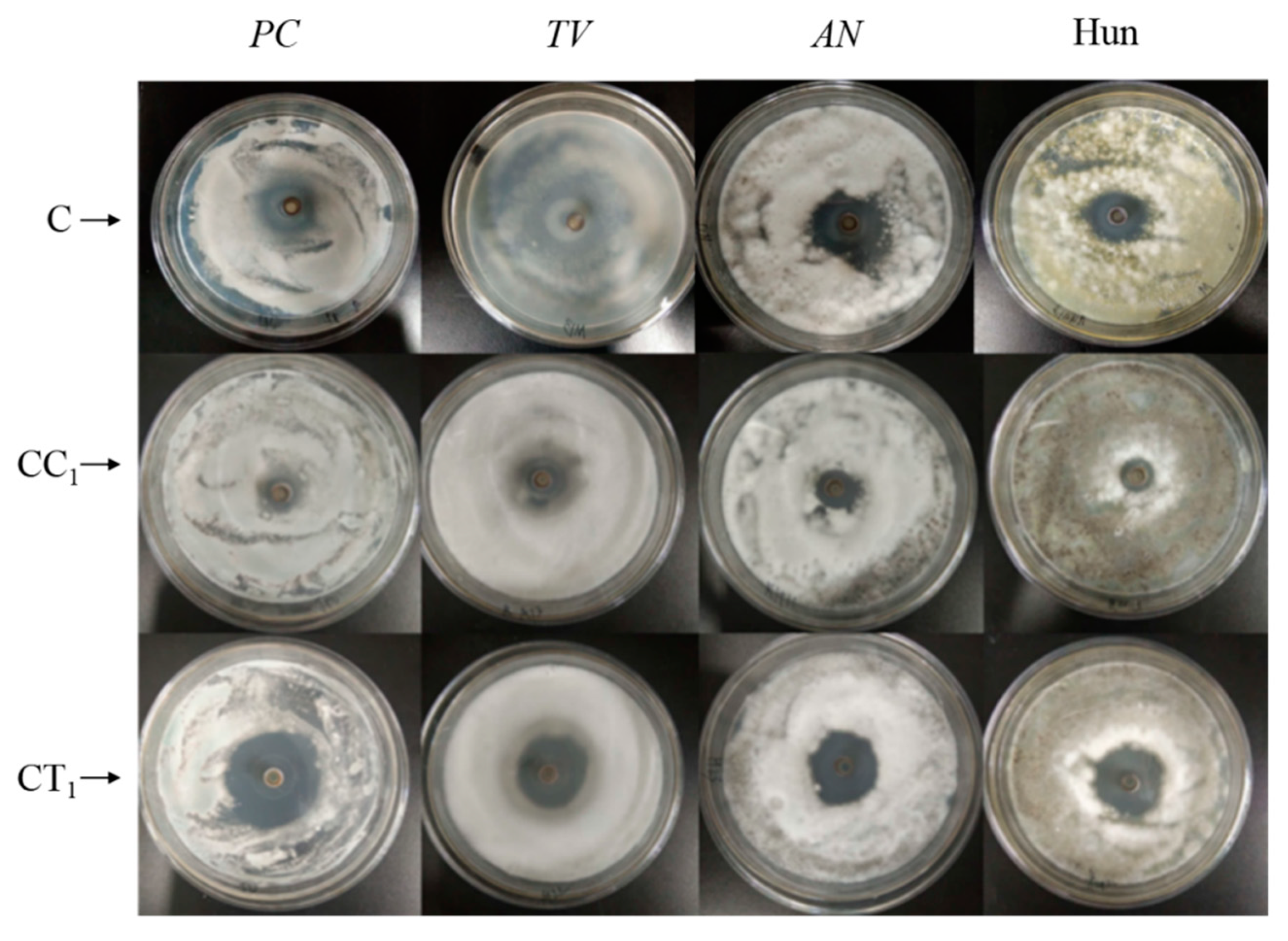 Polymers 14 04691 g003