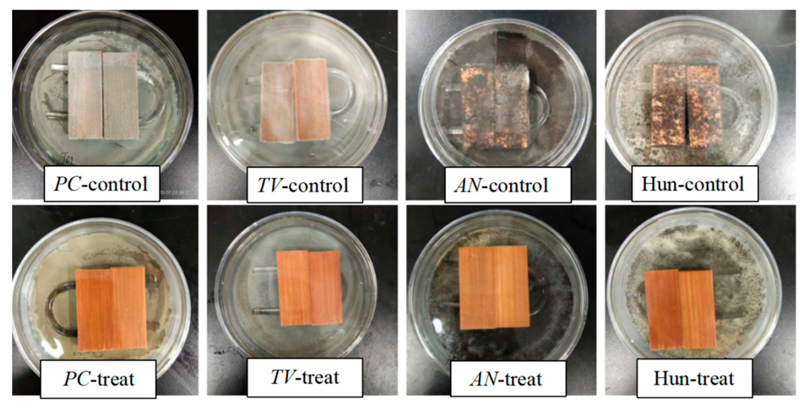 Polymers 14 04691 g007