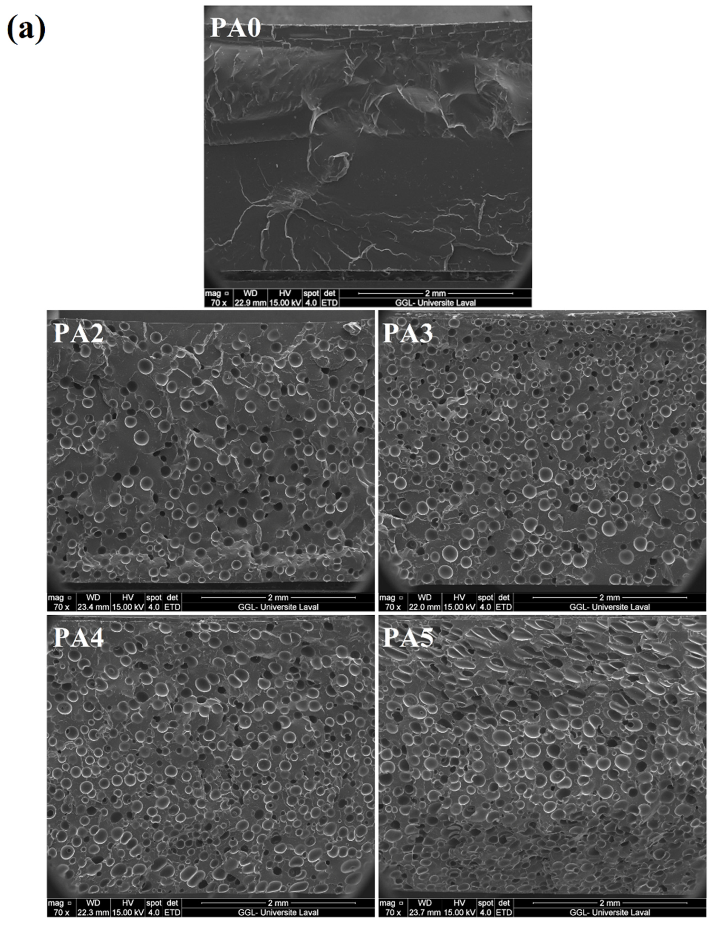 Polymers 14 04692 g001a