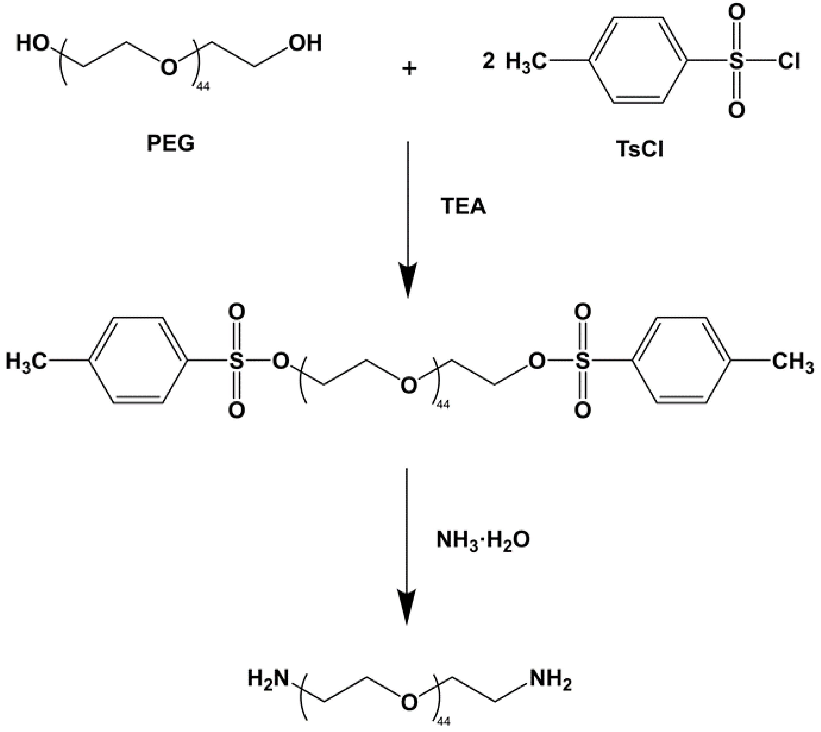 Polymers 14 04694 g001 Polymers 14 04694 g001