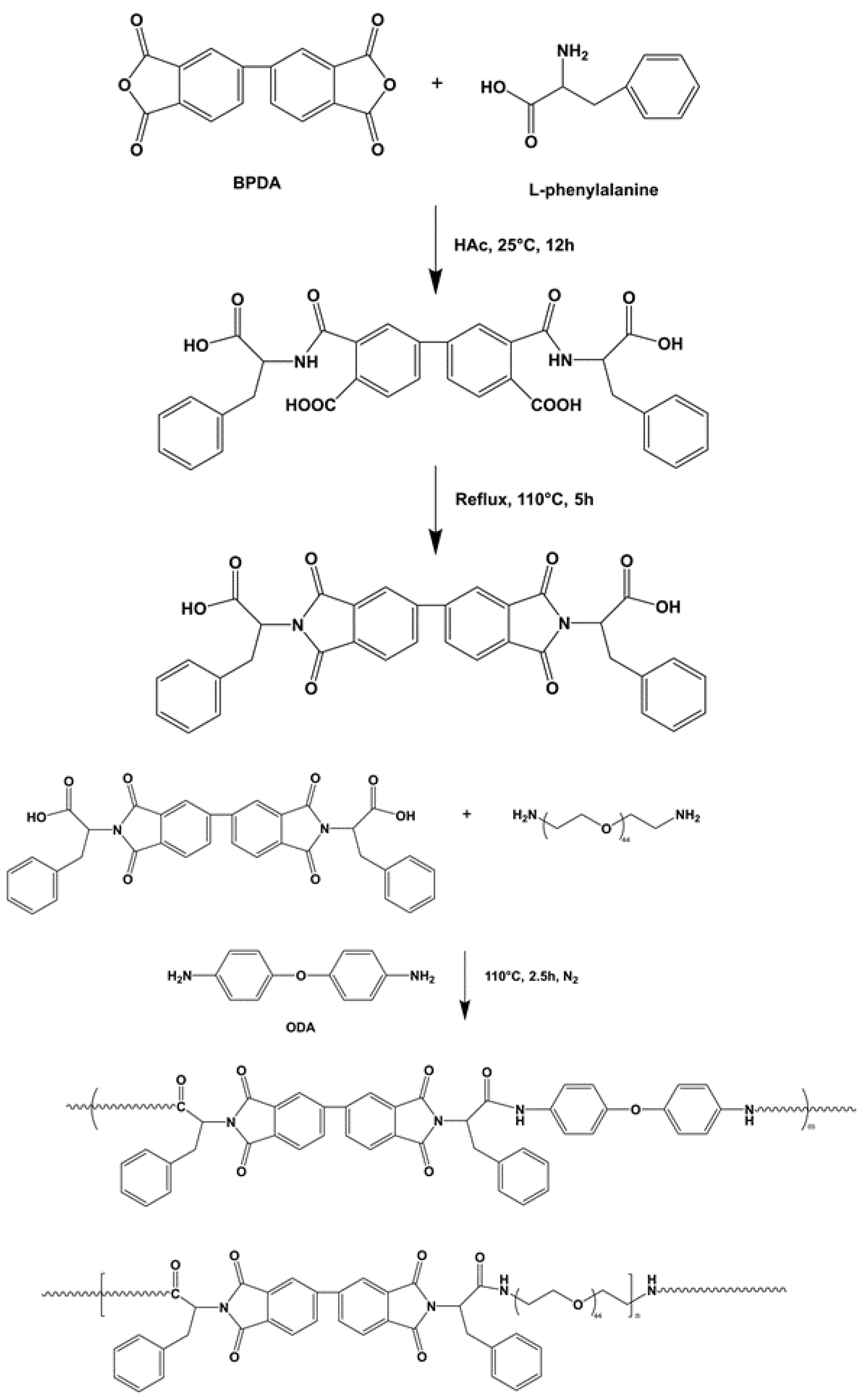 Polymers 14 04694 g002 Polymers 14 04694 g002