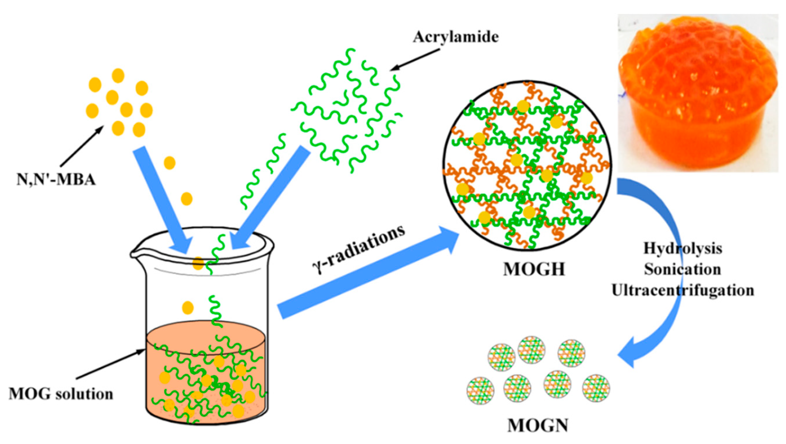 Polymers 14 04697 sch001