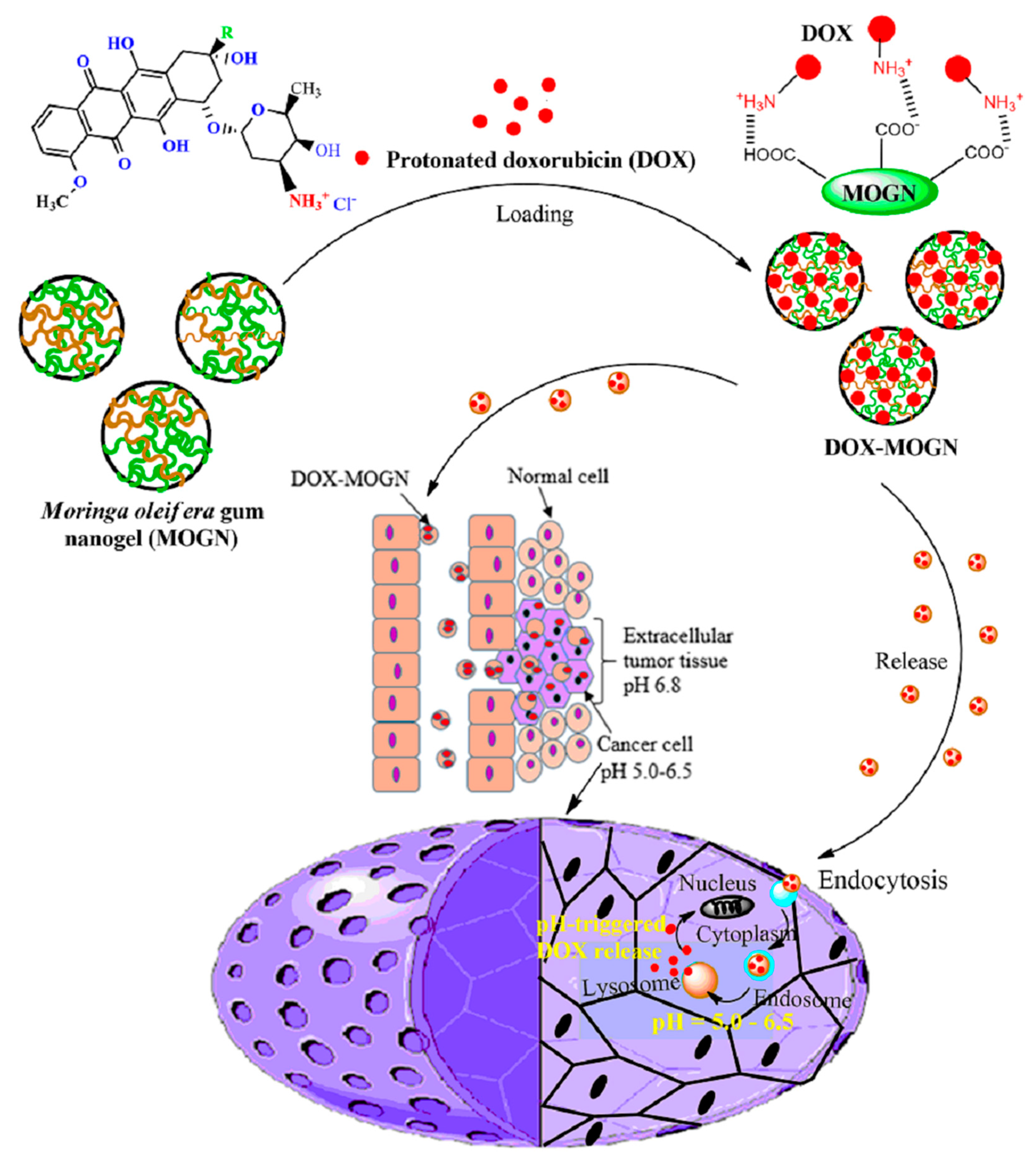 Polymers 14 04697 sch003