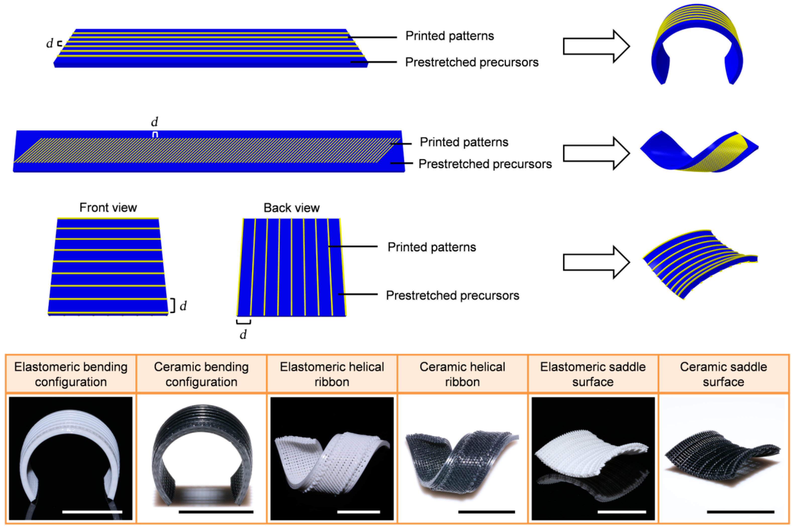 Polymers 14 04698 g007 Polymers 14 04698 g007