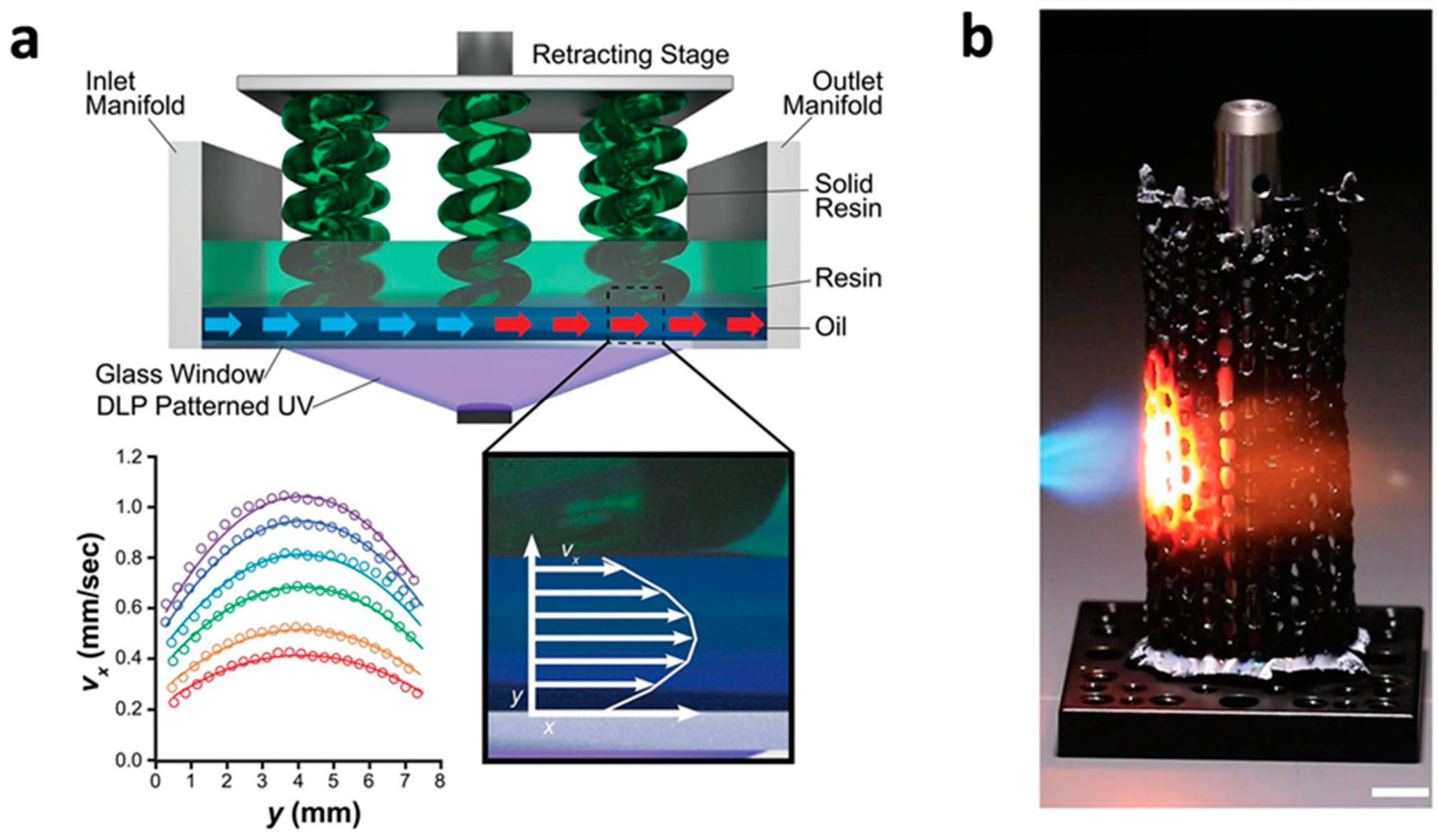Polymers 14 04698 g008 Polymers 14 04698 g008