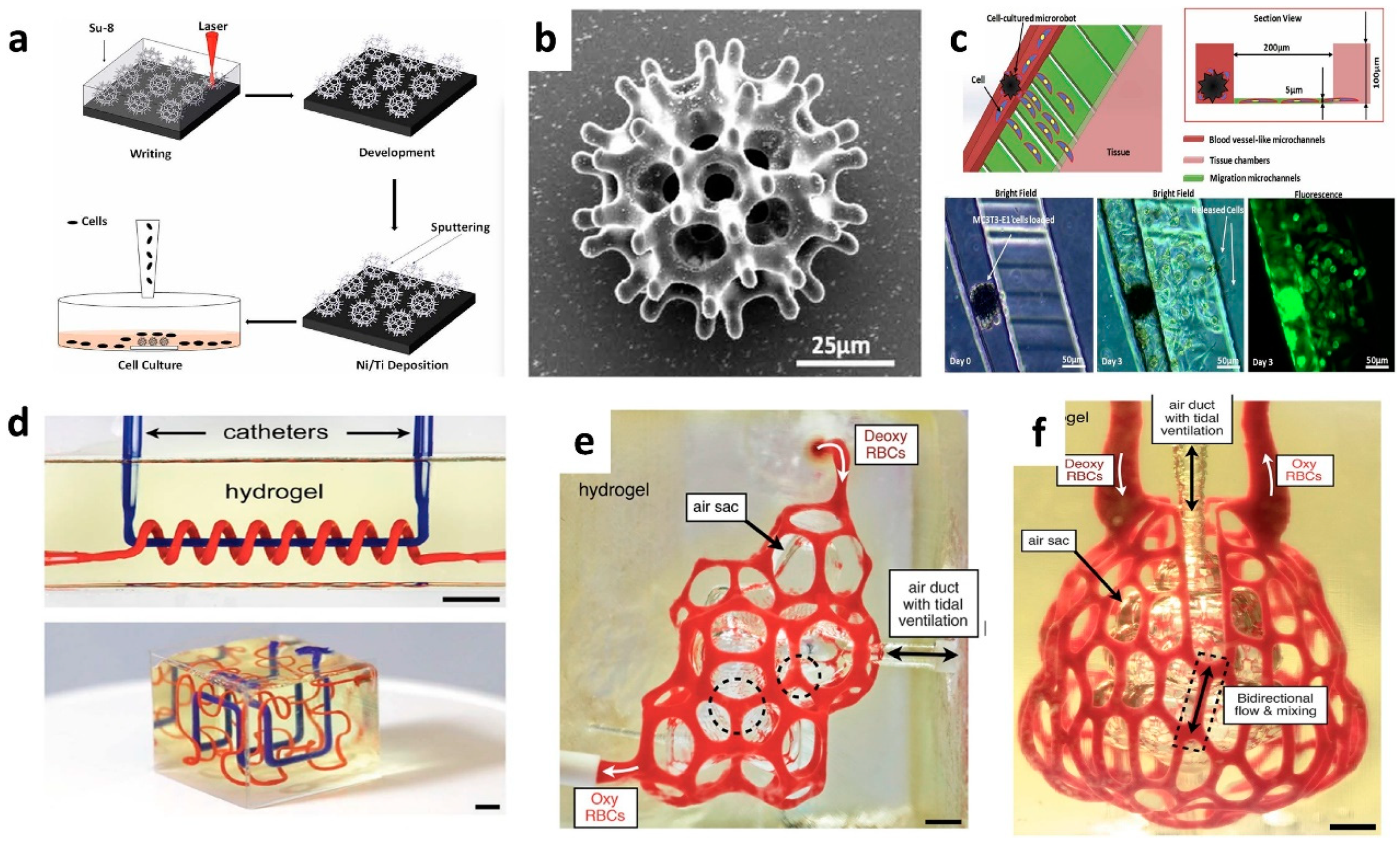 Polymers 14 04698 g010 Polymers 14 04698 g010