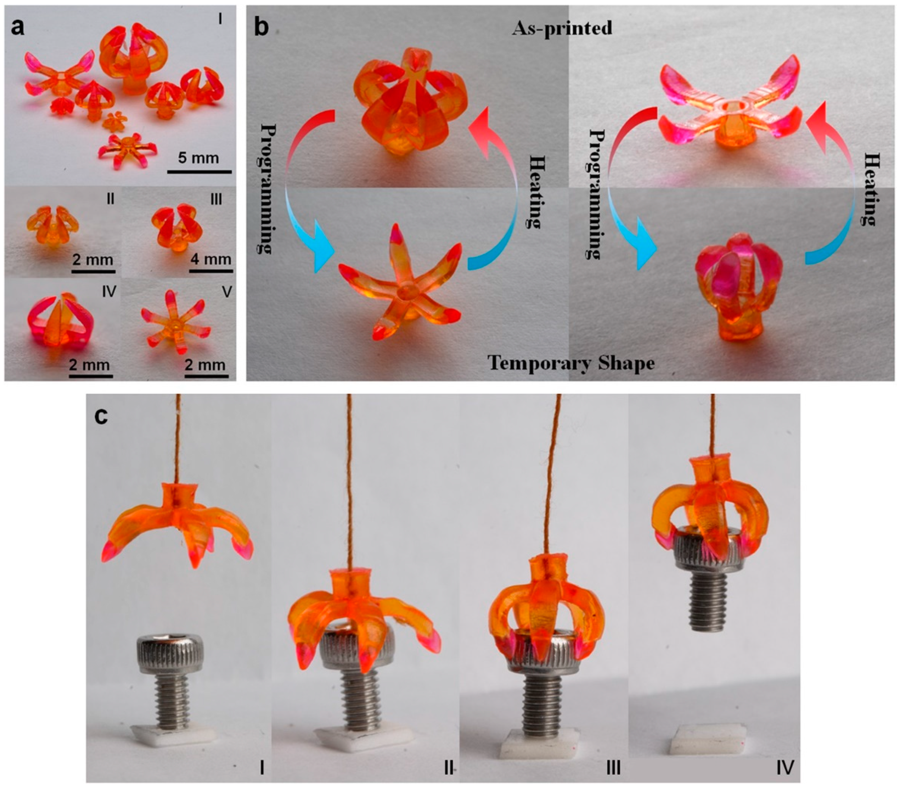 Polymers 14 04698 g017 Polymers 14 04698 g017