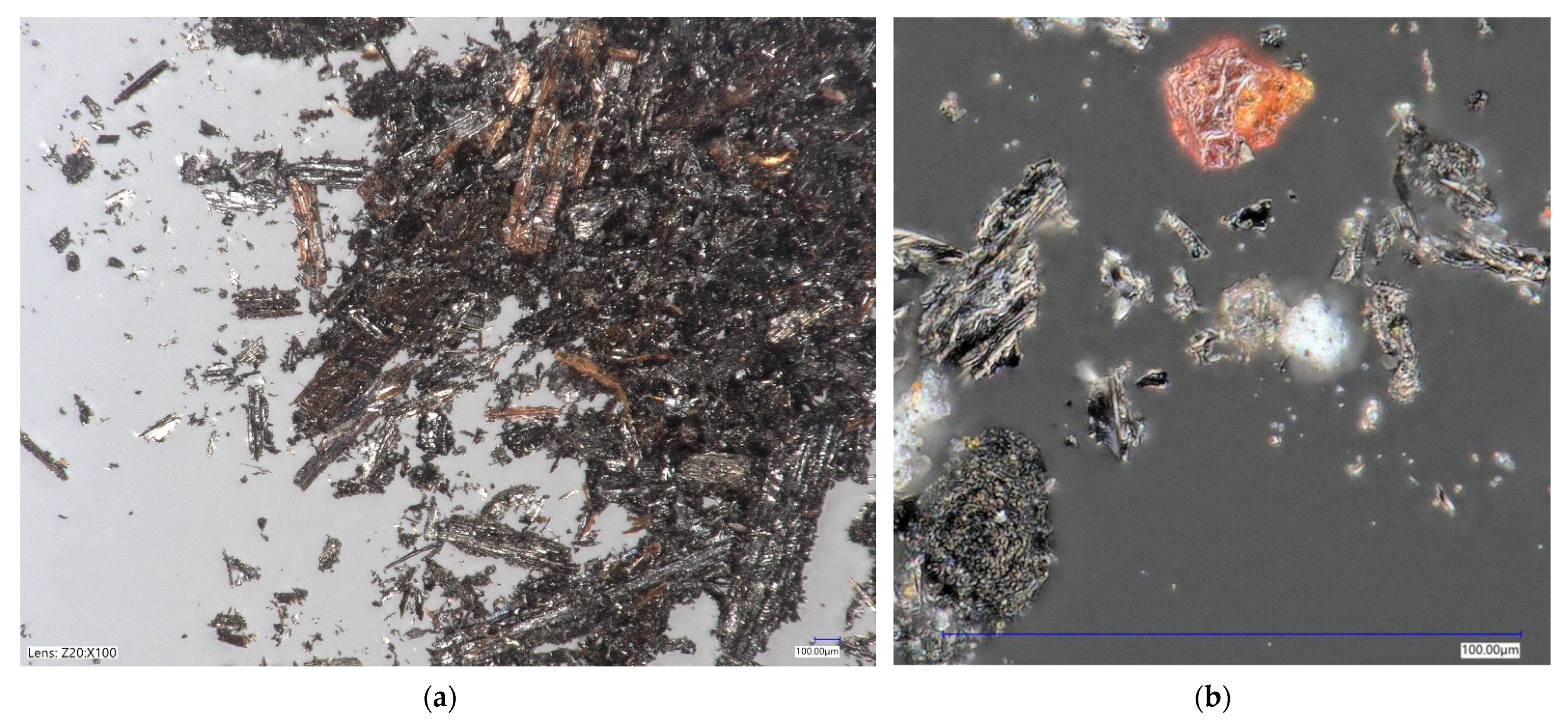 Polymers 14 04701 g002