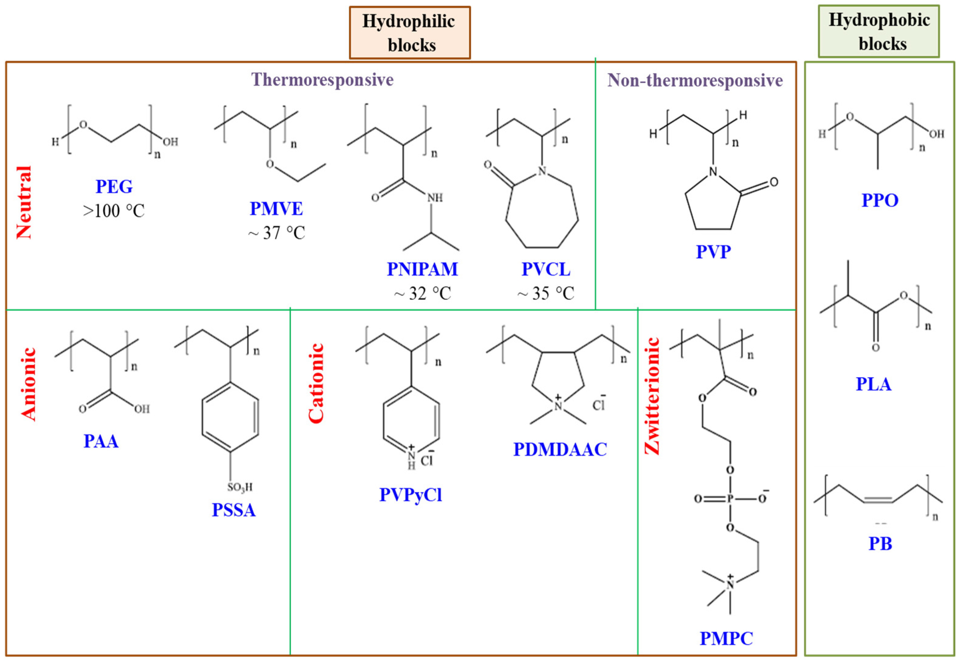 Polymers 14 04702 g002