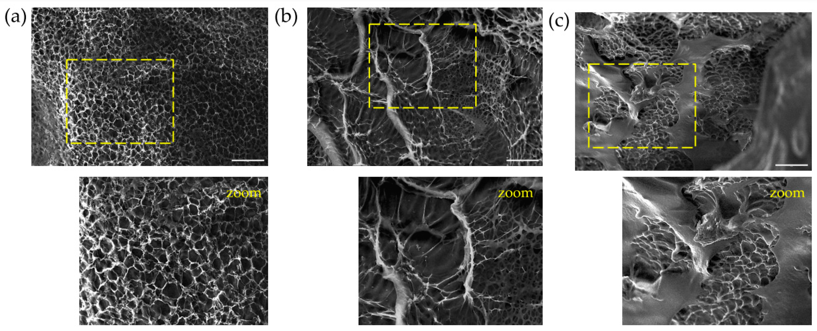 Polymers 14 04705 g004 Polymers 14 04705 g004