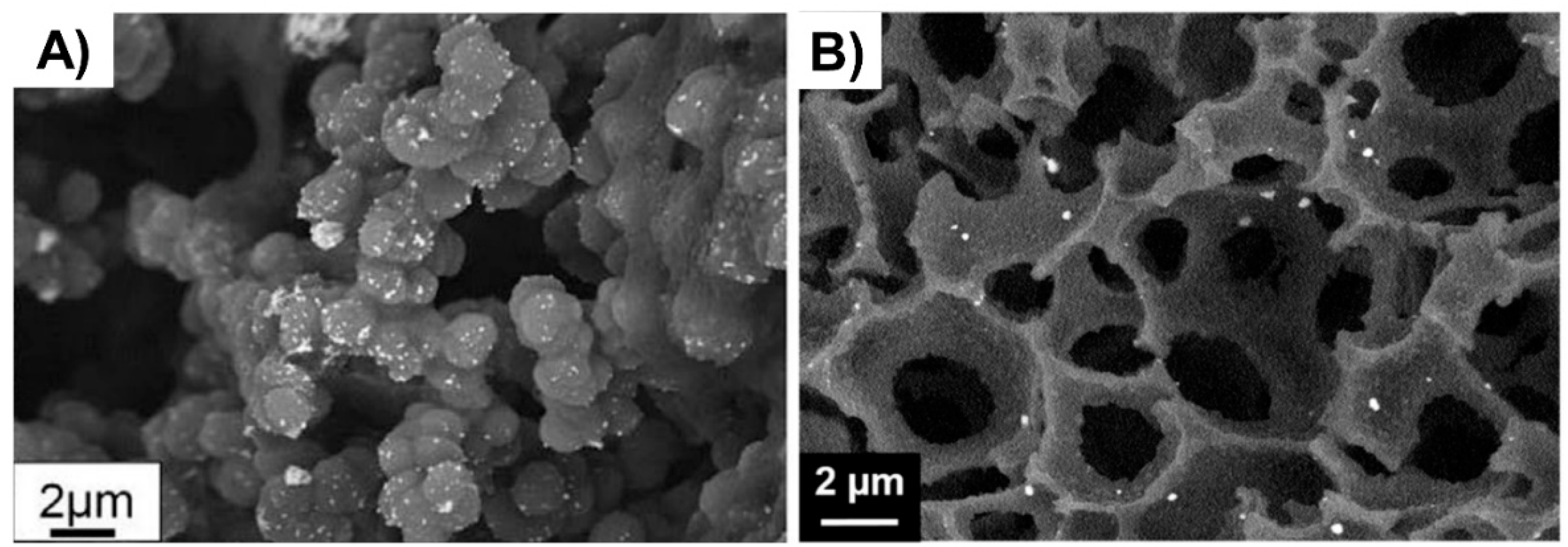 Polymers 14 04706 g004