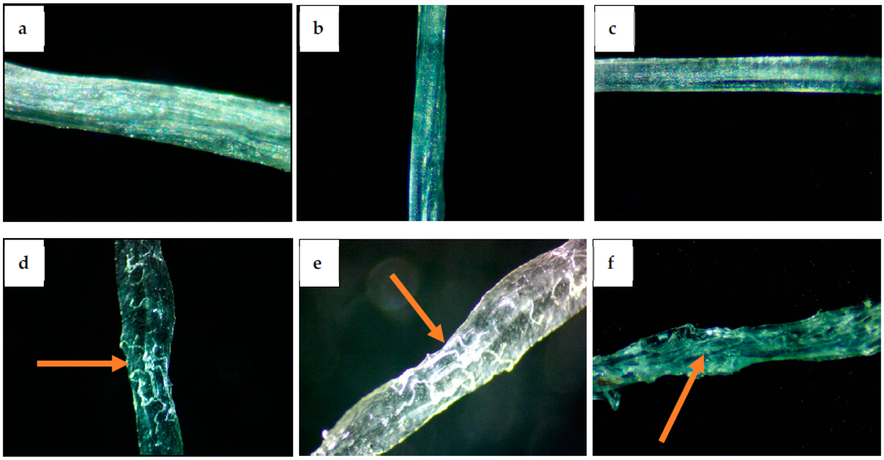 Polymers 14 04707 g003 Polymers 14 04707 g003