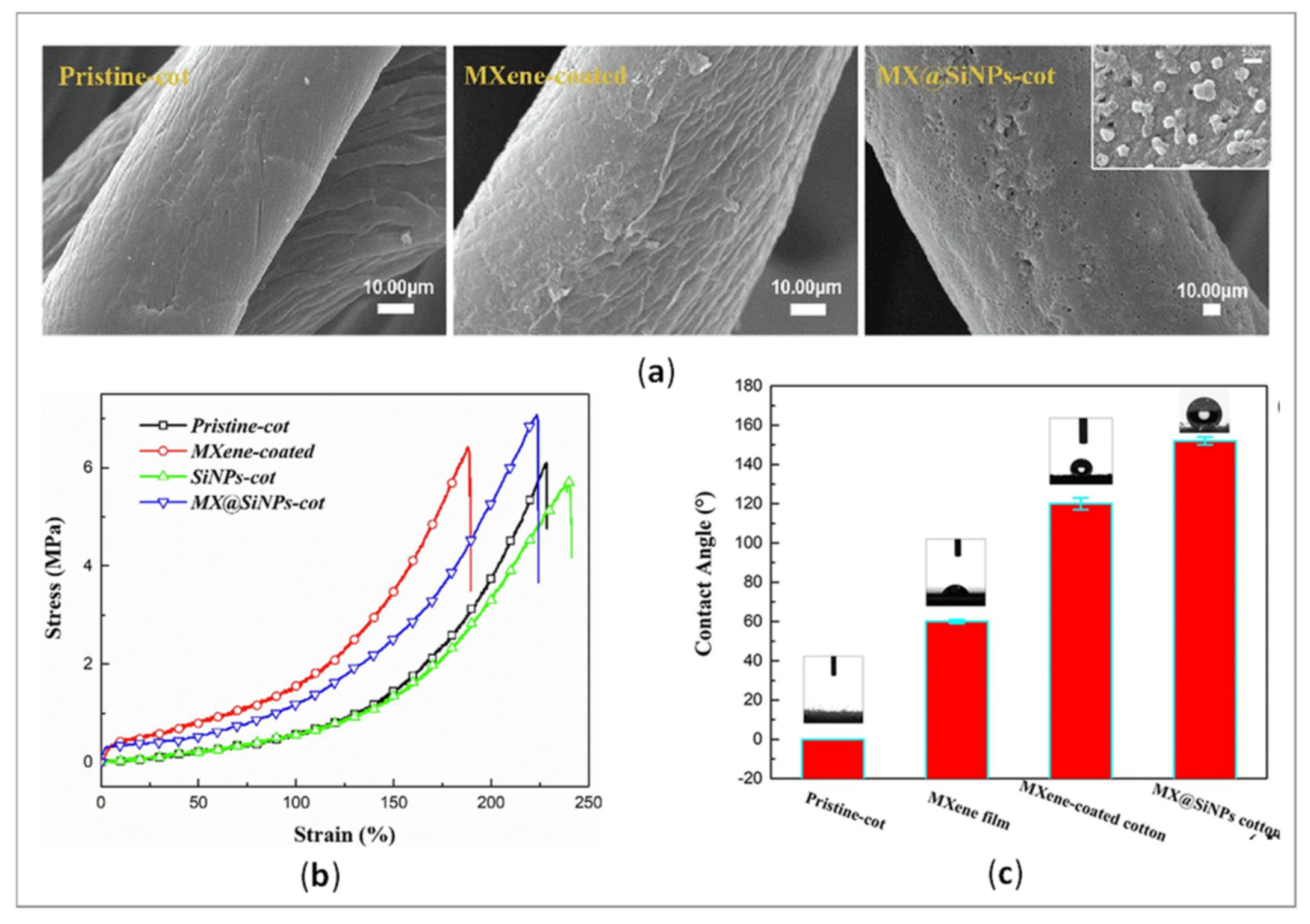Polymers 14 04713 g004 Polymers 14 04713 g004