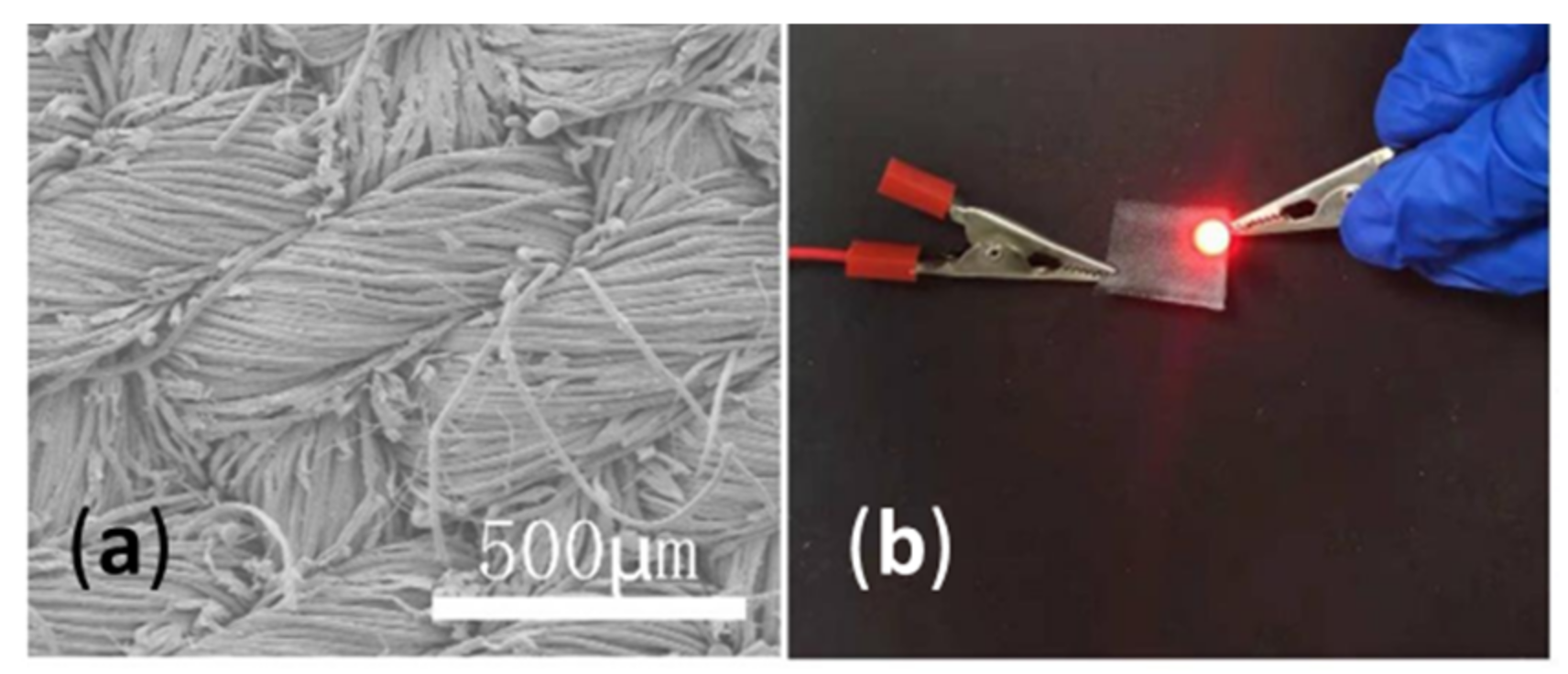 Polymers 14 04713 g007 Polymers 14 04713 g007