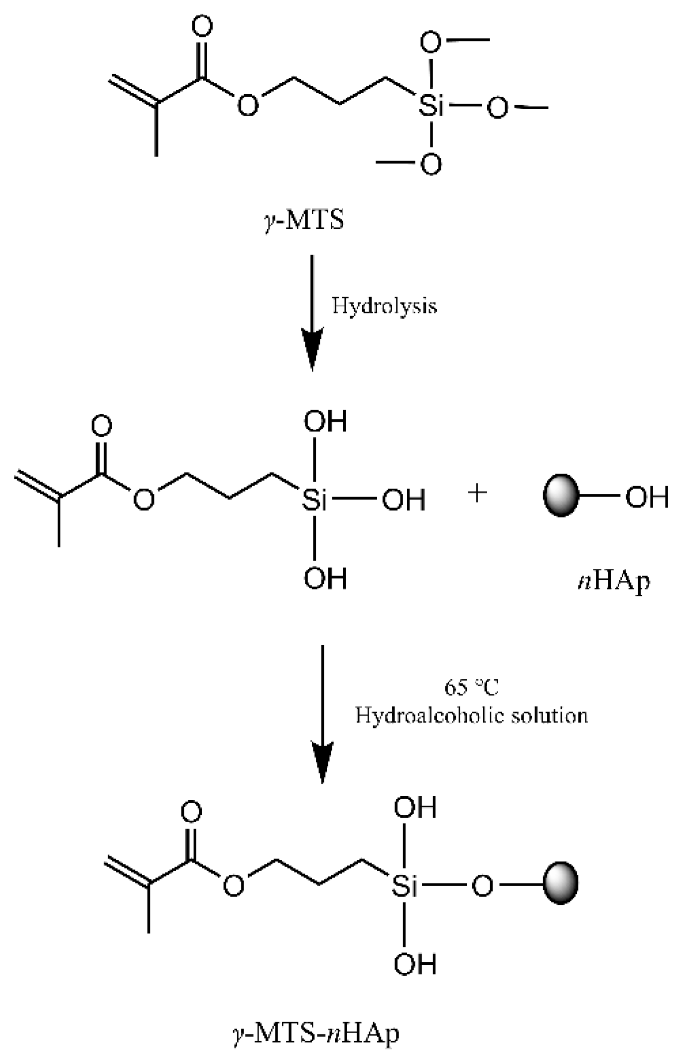 Polymers 14 04716 g002