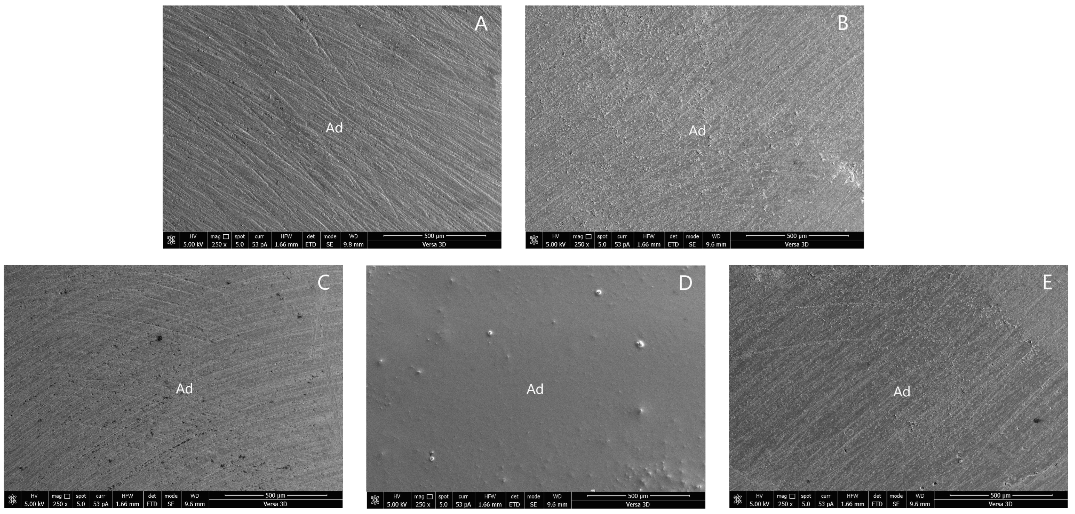 Polymers 14 04718 g003