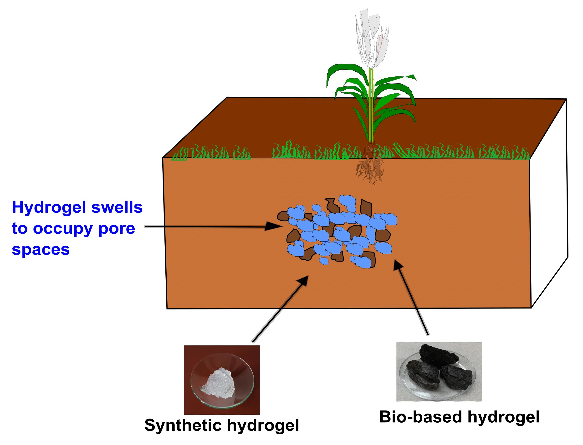 Polymers Free FullText The Impacts of BioBased and Synthetic