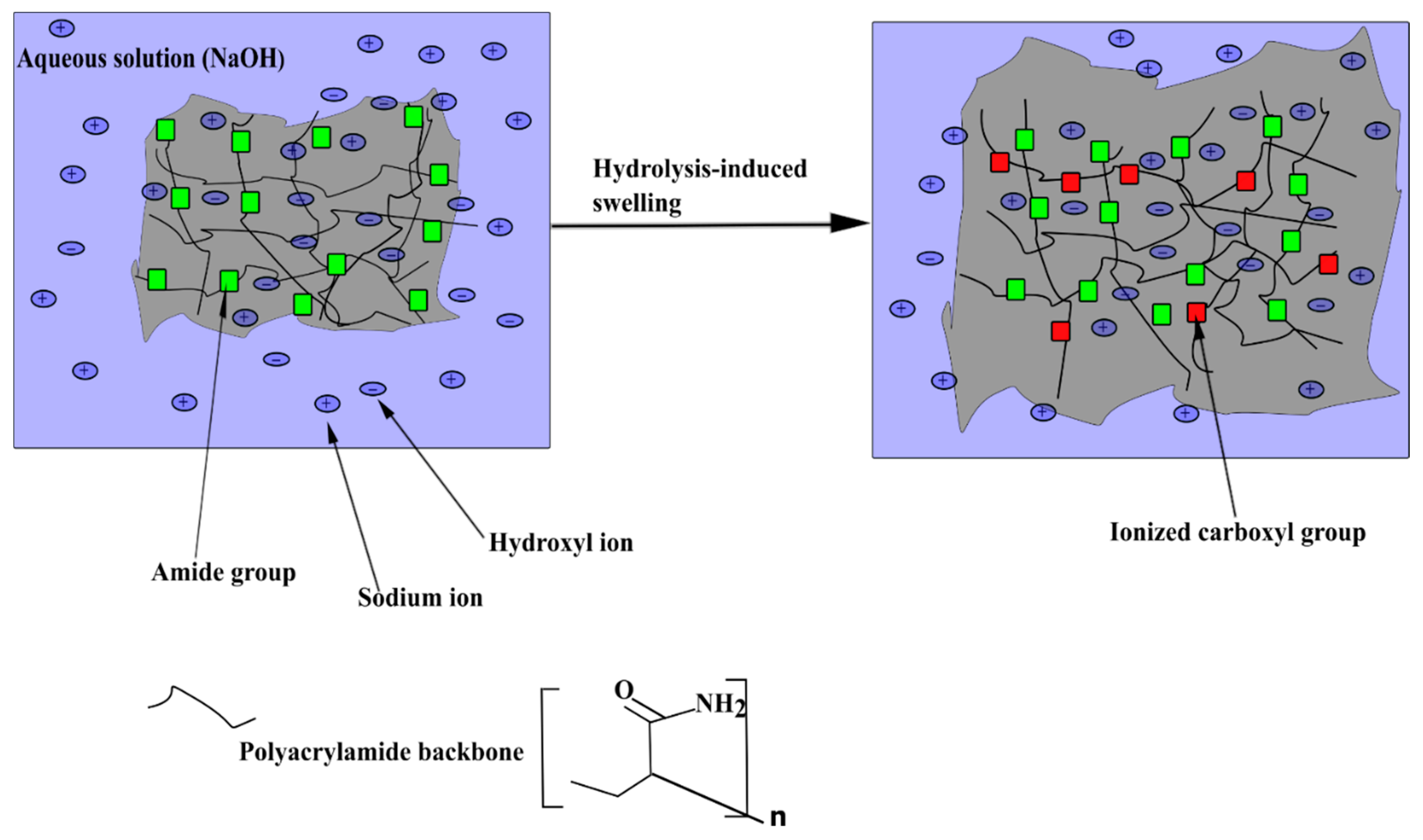 Polymers 14 04721 g001