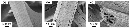 Polymers 14 04722 g001 550