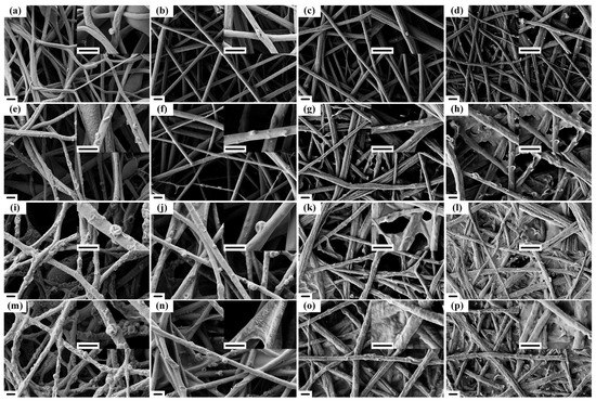 Polymers 14 04722 g009 550