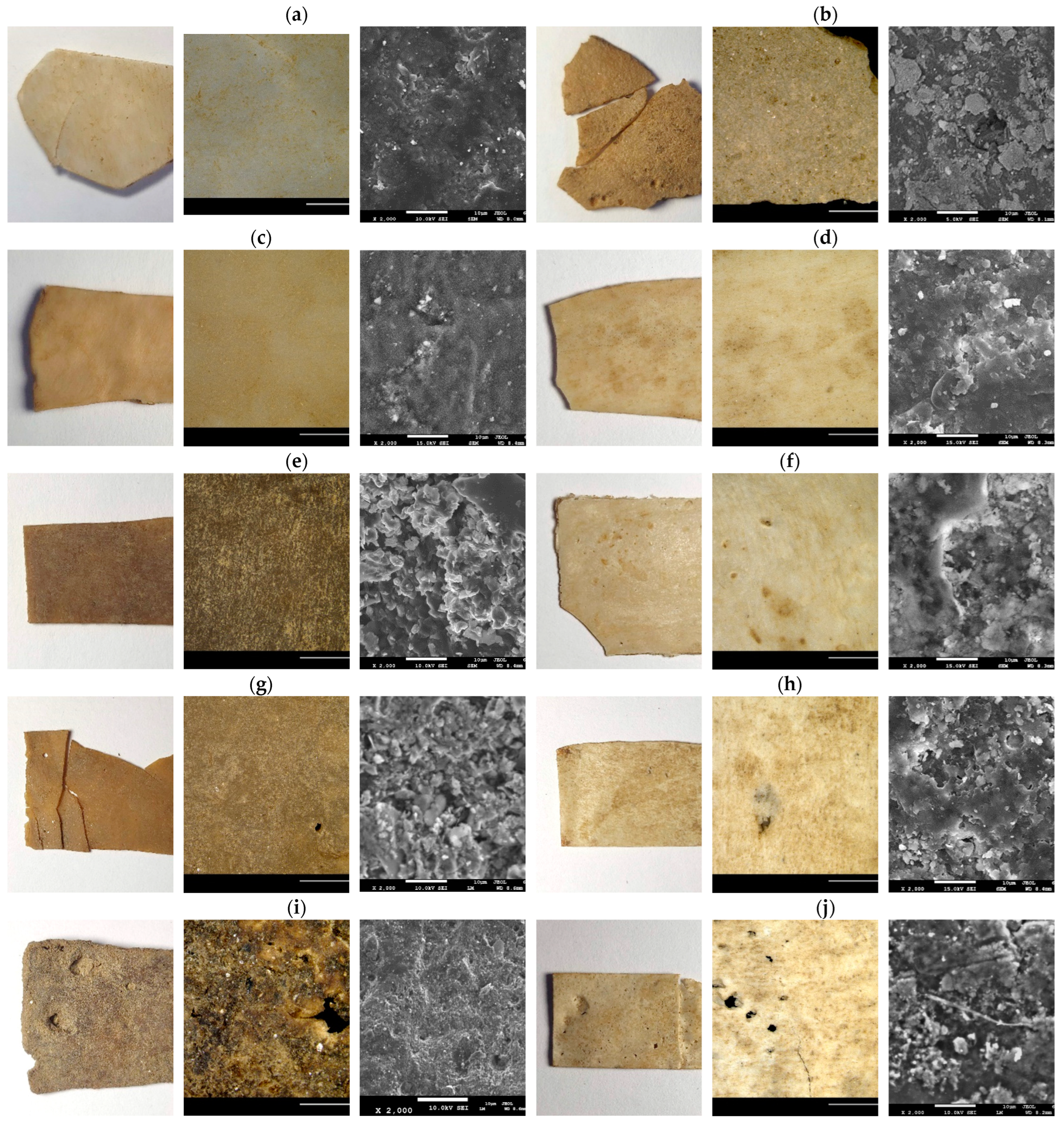 Polymers 14 04725 g009