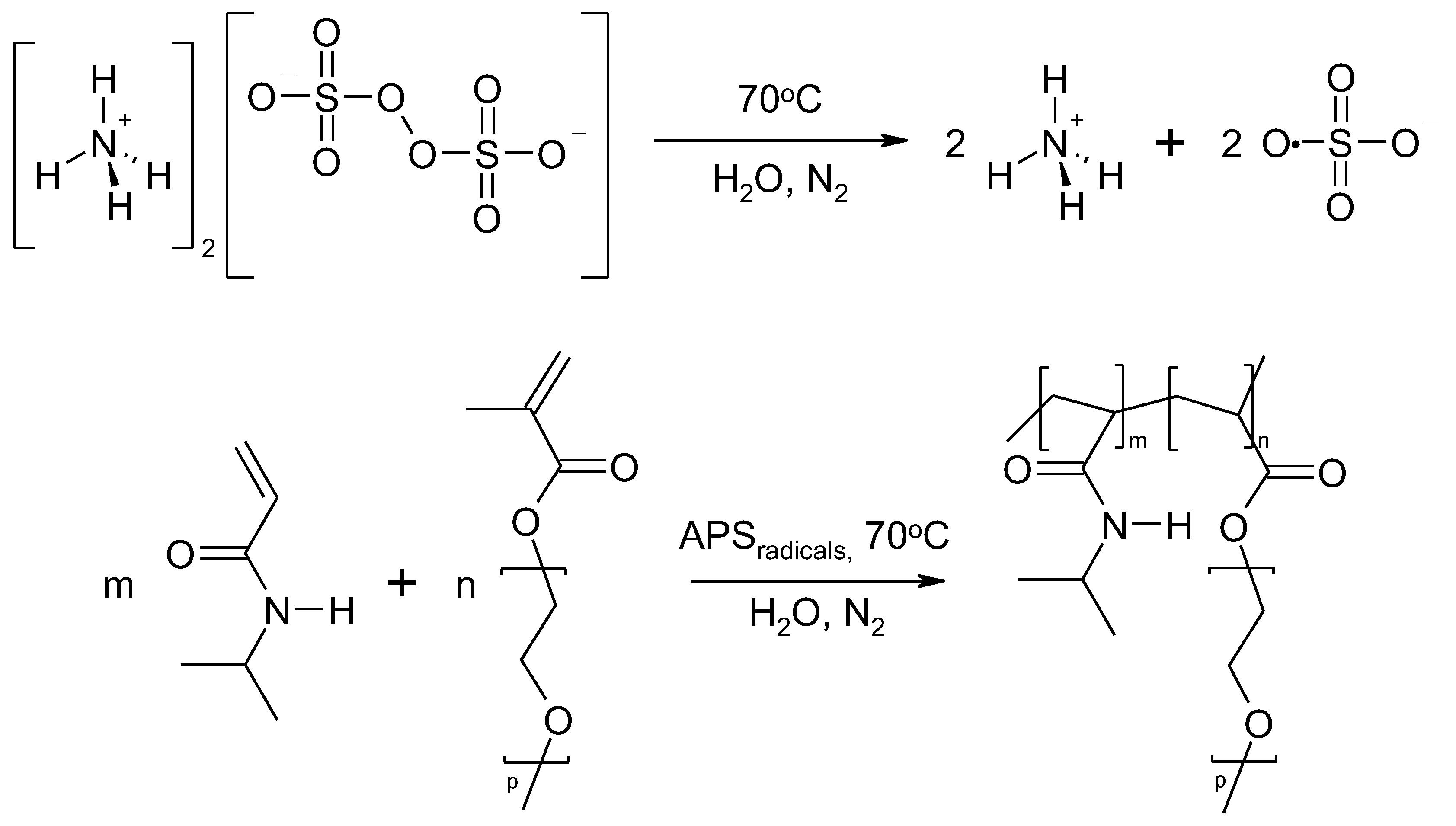 Polymers Free FullText Influence of the Poly(ethylene Glycol
