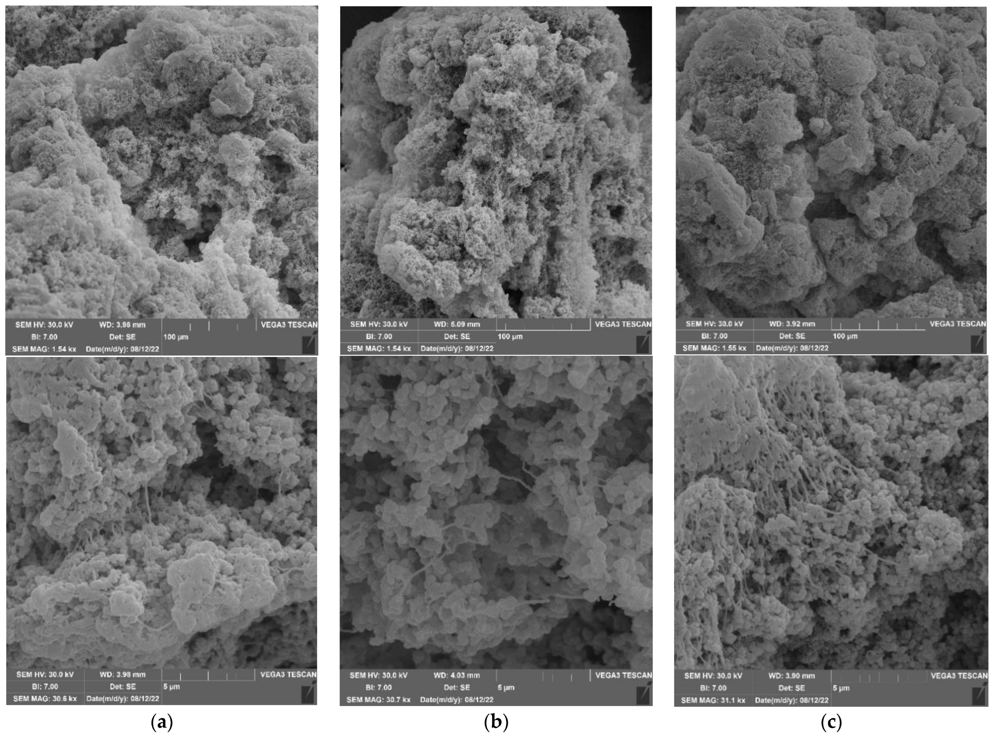 Polymers 14 04735 g003