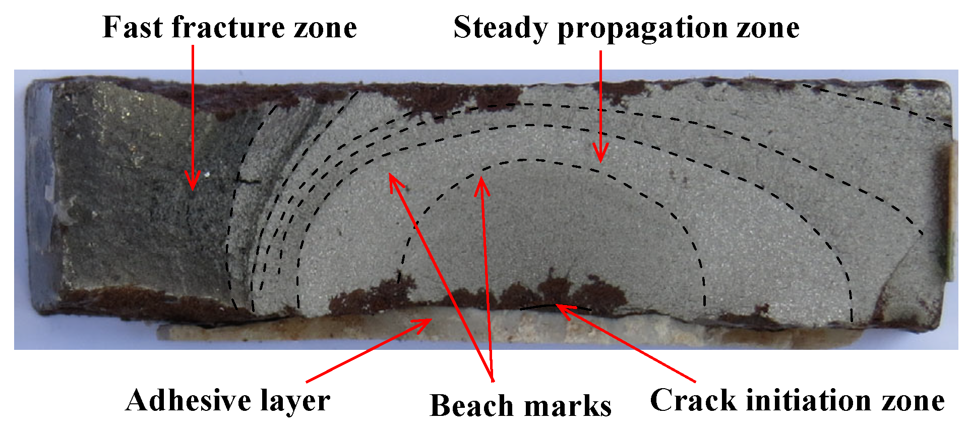 Polymers 14 04738 g003 Polymers 14 04738 g003