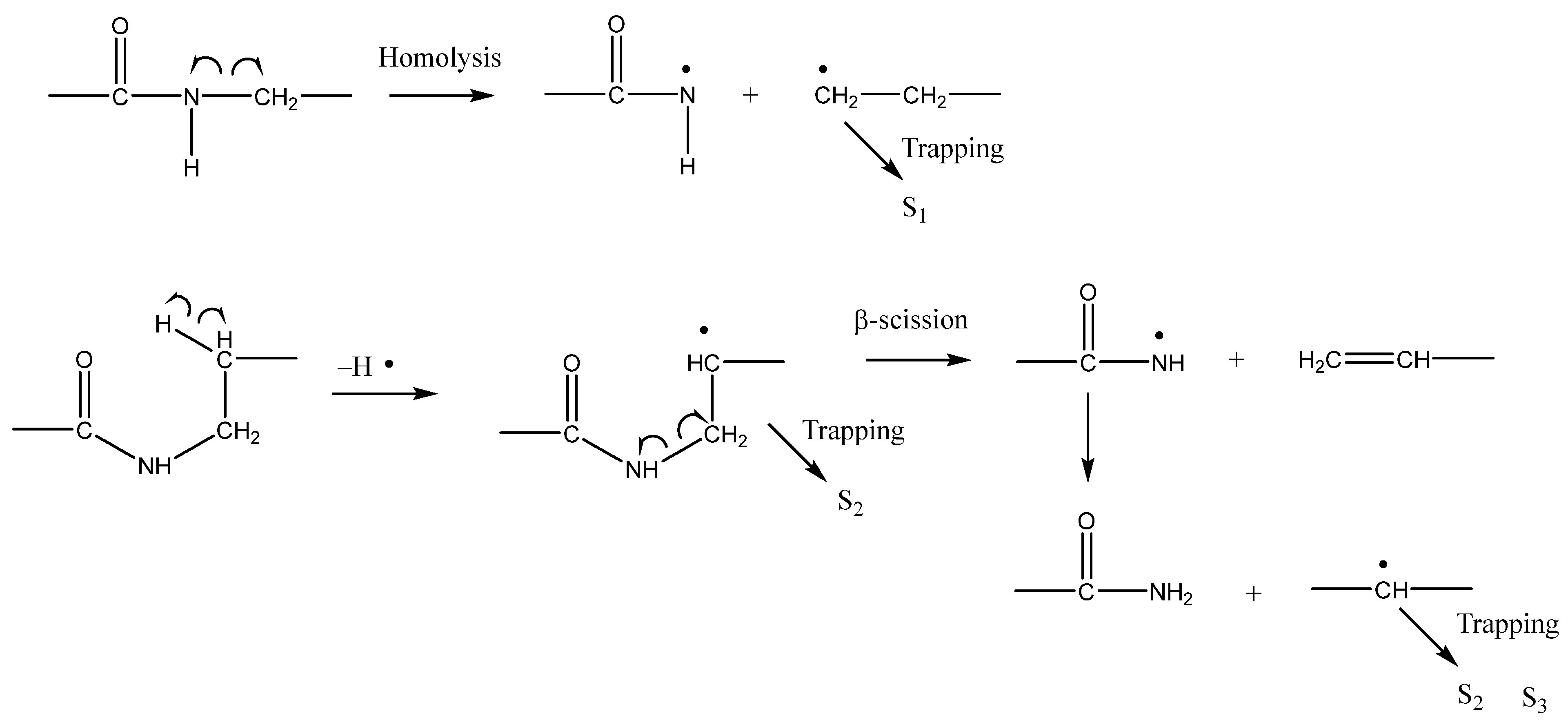 Polymers 14 04748 sch002 Polymers 14 04748 sch002
