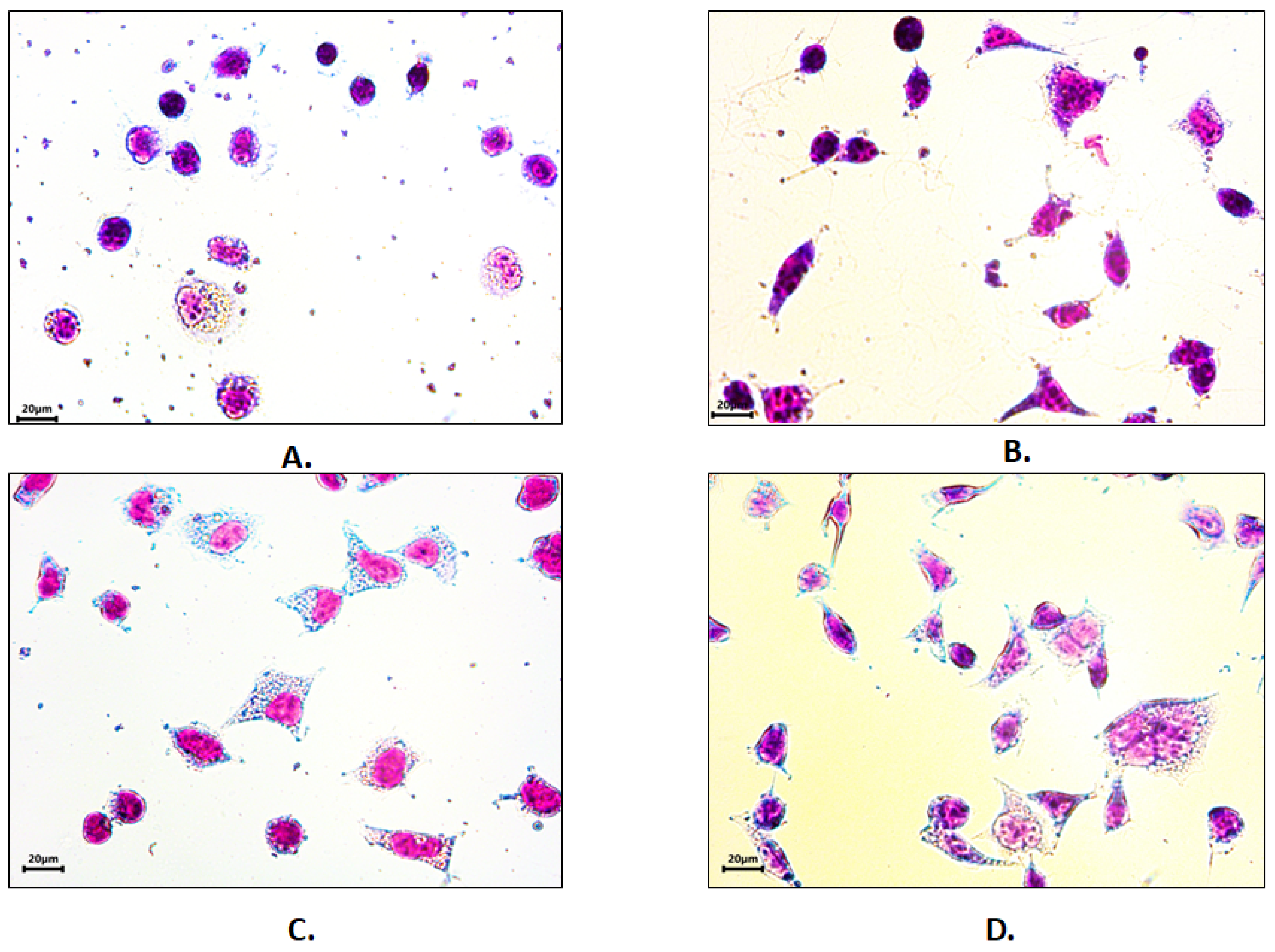 Polymers 14 04749 g003