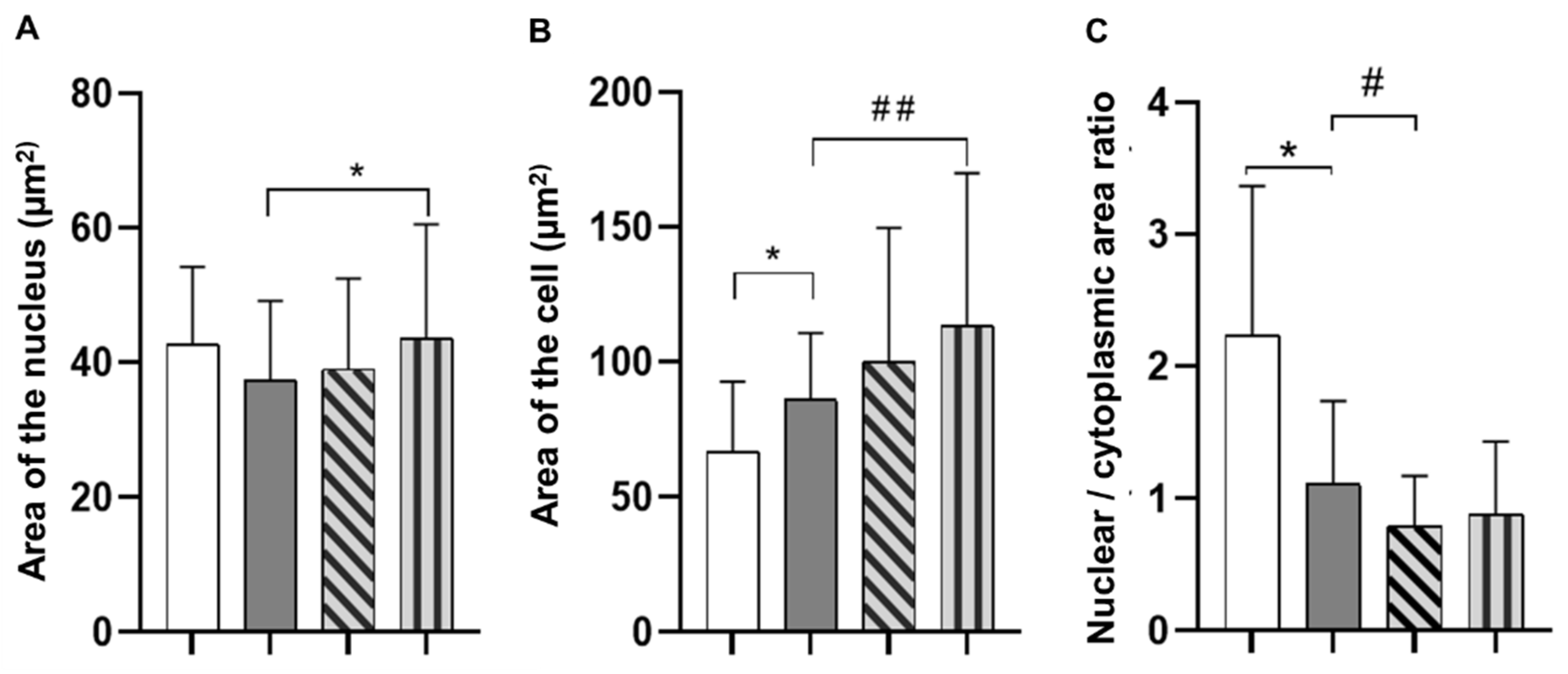 Polymers 14 04749 g004