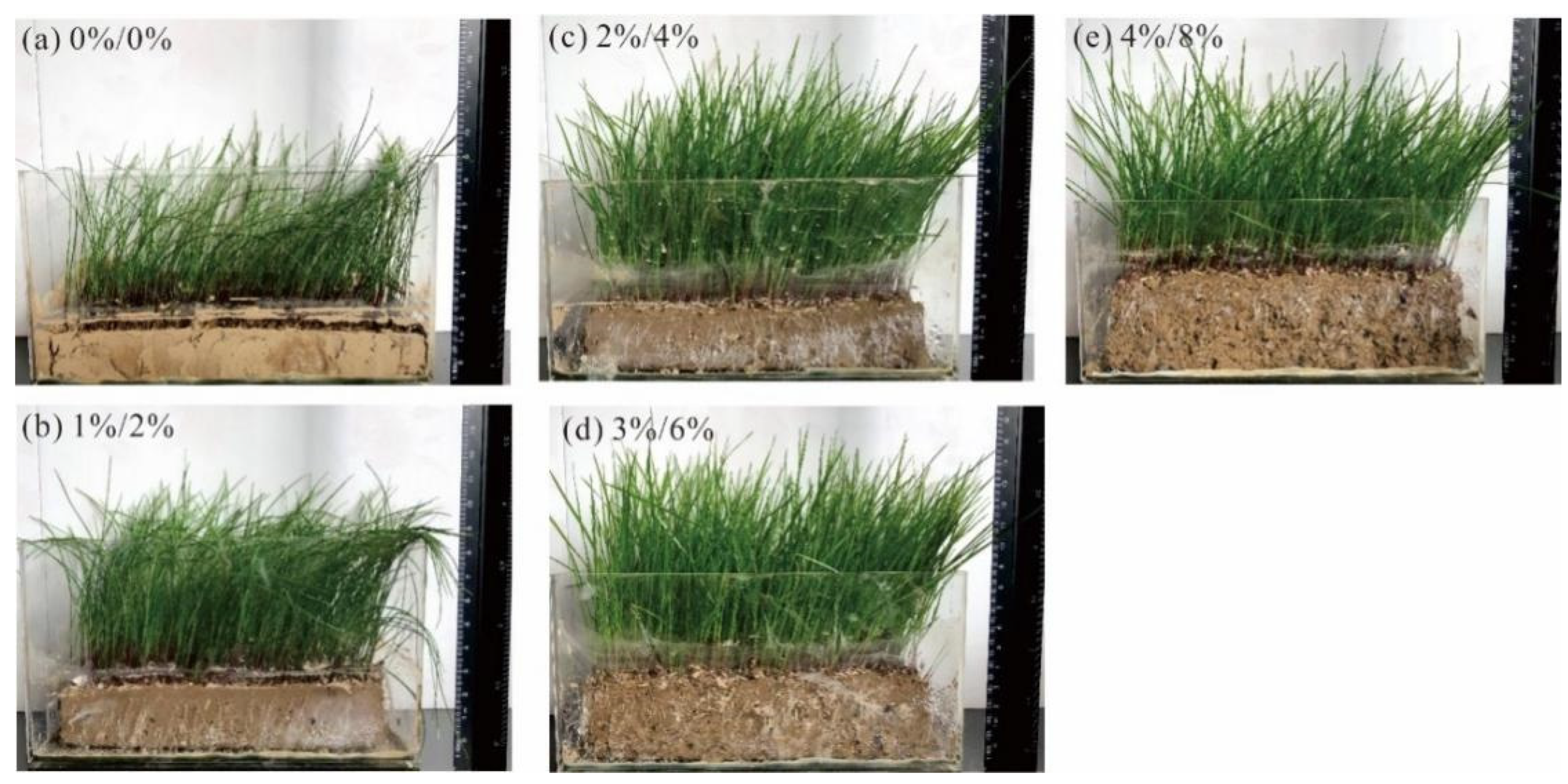 Polymers 14 04752 g012 Polymers 14 04752 g012